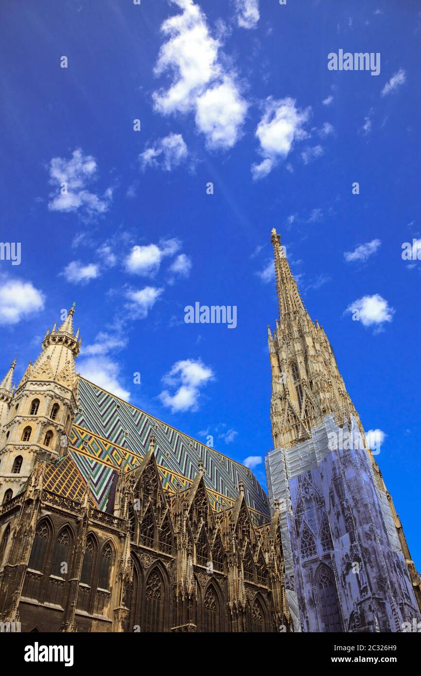 Cattedrale di Santo Stefano a Vienna Foto Stock