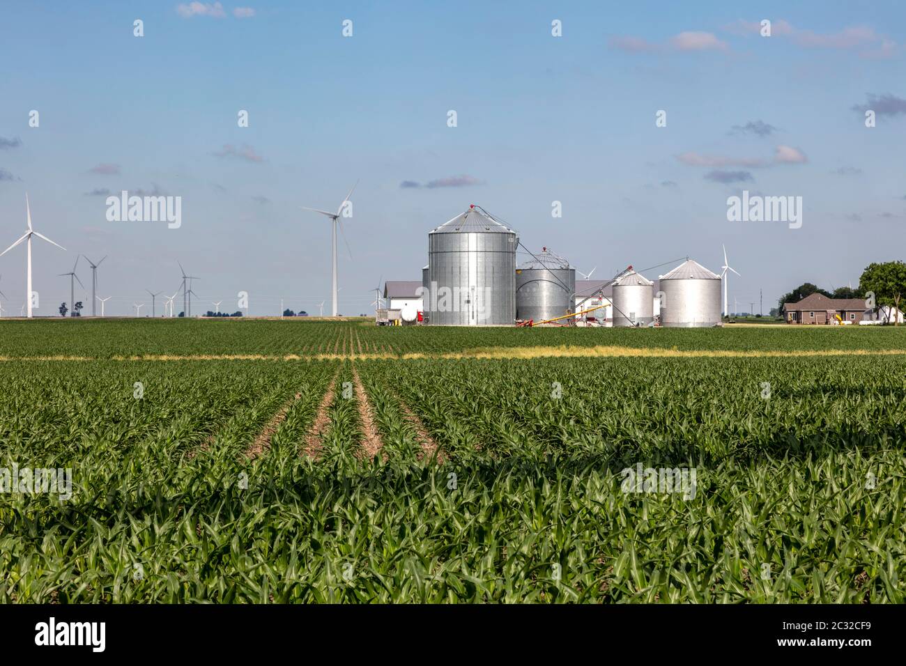 Turbina eolica su terreni agricoli, Indiana, USA, di James D Coppinger/Dembinsky Photo Assoc Foto Stock
