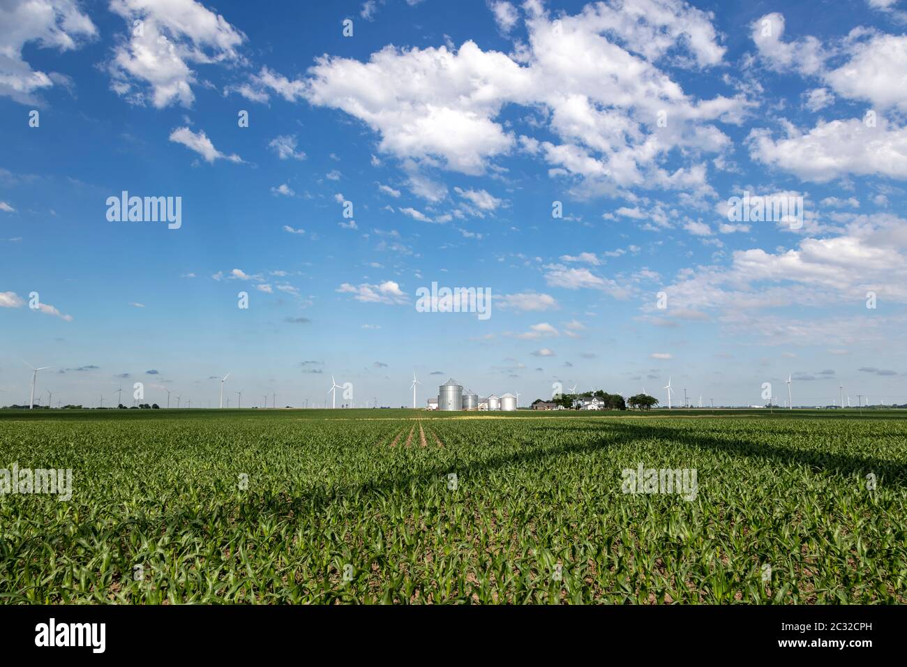 Turbine eoliche su fattoria, raccolto di mais, Indiana, USA, di James D Coppinger/Dembinsky Photo Assoc Foto Stock