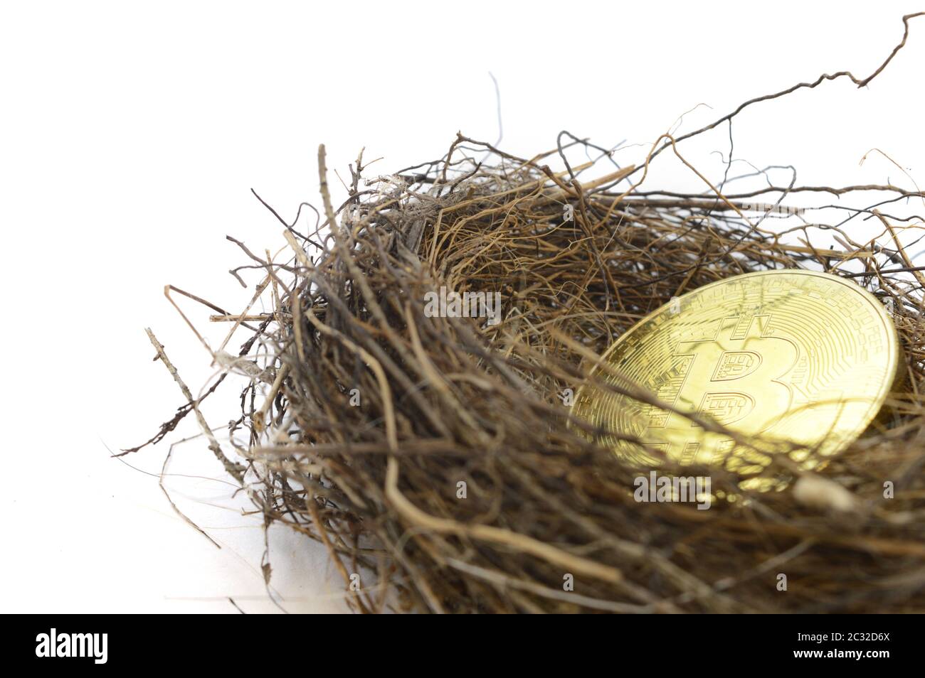 Un concetto basato su investimenti a lungo termine della criptovaluta Bitcoin utilizzando un nido di uccelli e moneta d'oro su uno sfondo bianco. Foto Stock