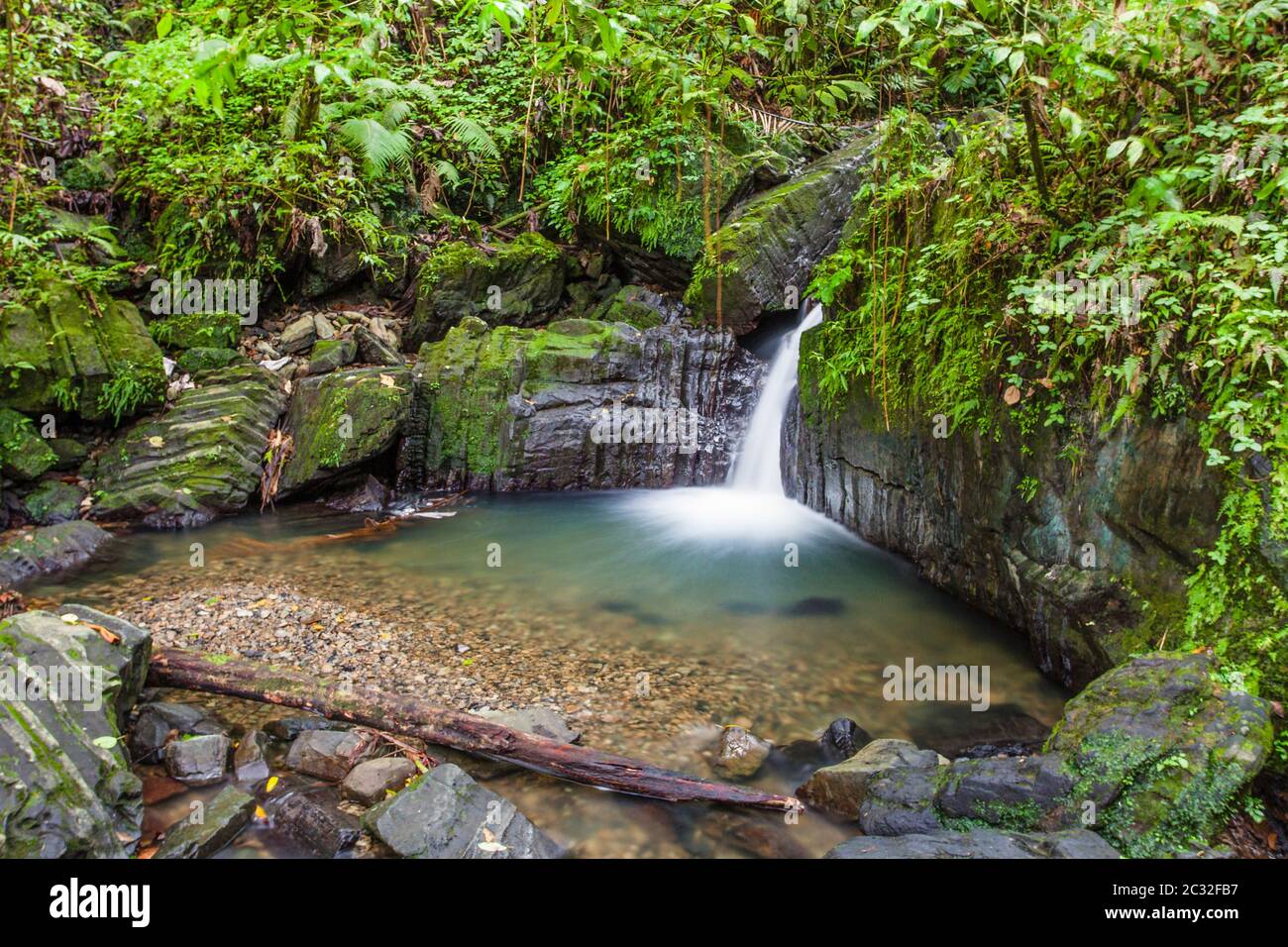 Cascate nella foresta pluviale di El Yunque, Puerto Rico. Foto Stock