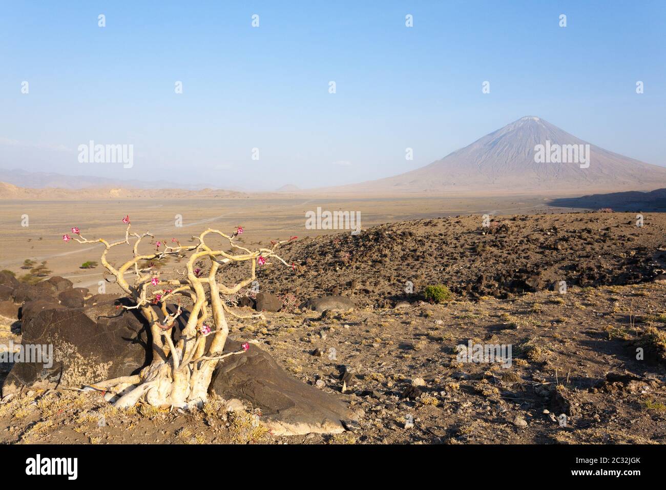 Il Lago Natron area paesaggio, Tanzania, Africa. Ol Doinyo Lengai. Montagna di Dio. Panorama africano Foto Stock