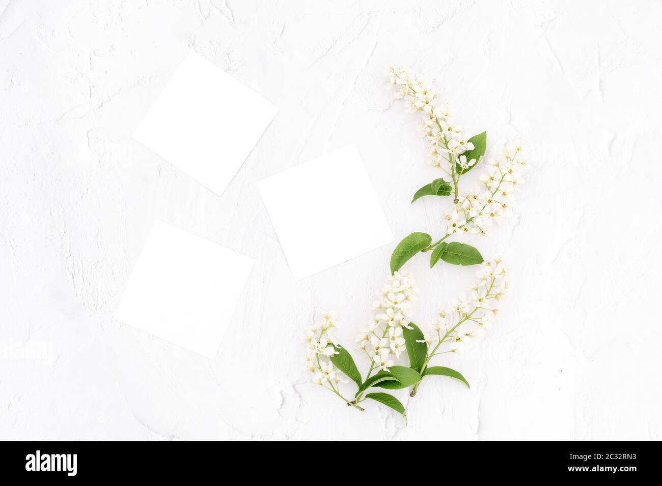 Fiori bianchi e carte mockup su sfondo bianco. Sfondo retrò. Spazio di copia. Stile di posa piatto. Foto Stock