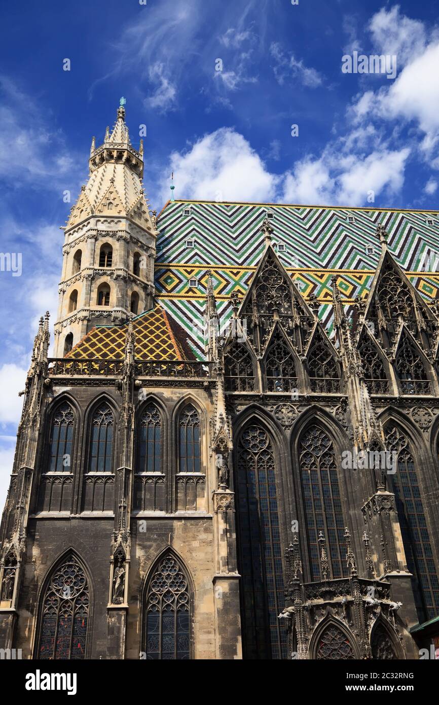 Cattedrale di Santo Stefano a Vienna Foto Stock