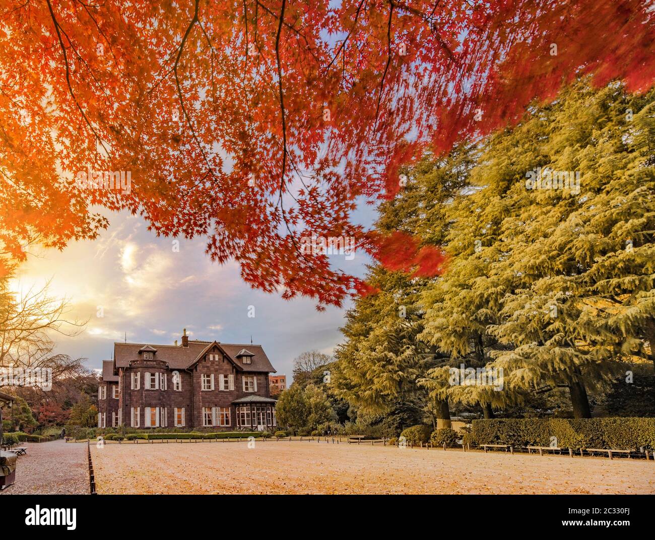 Tramonto sul Tokyo Metropolitan Park KyuFurukawa, l'antica residenza in stile occidentale in acero rosso momiji, parte dalla stagione autunnale. Foto Stock