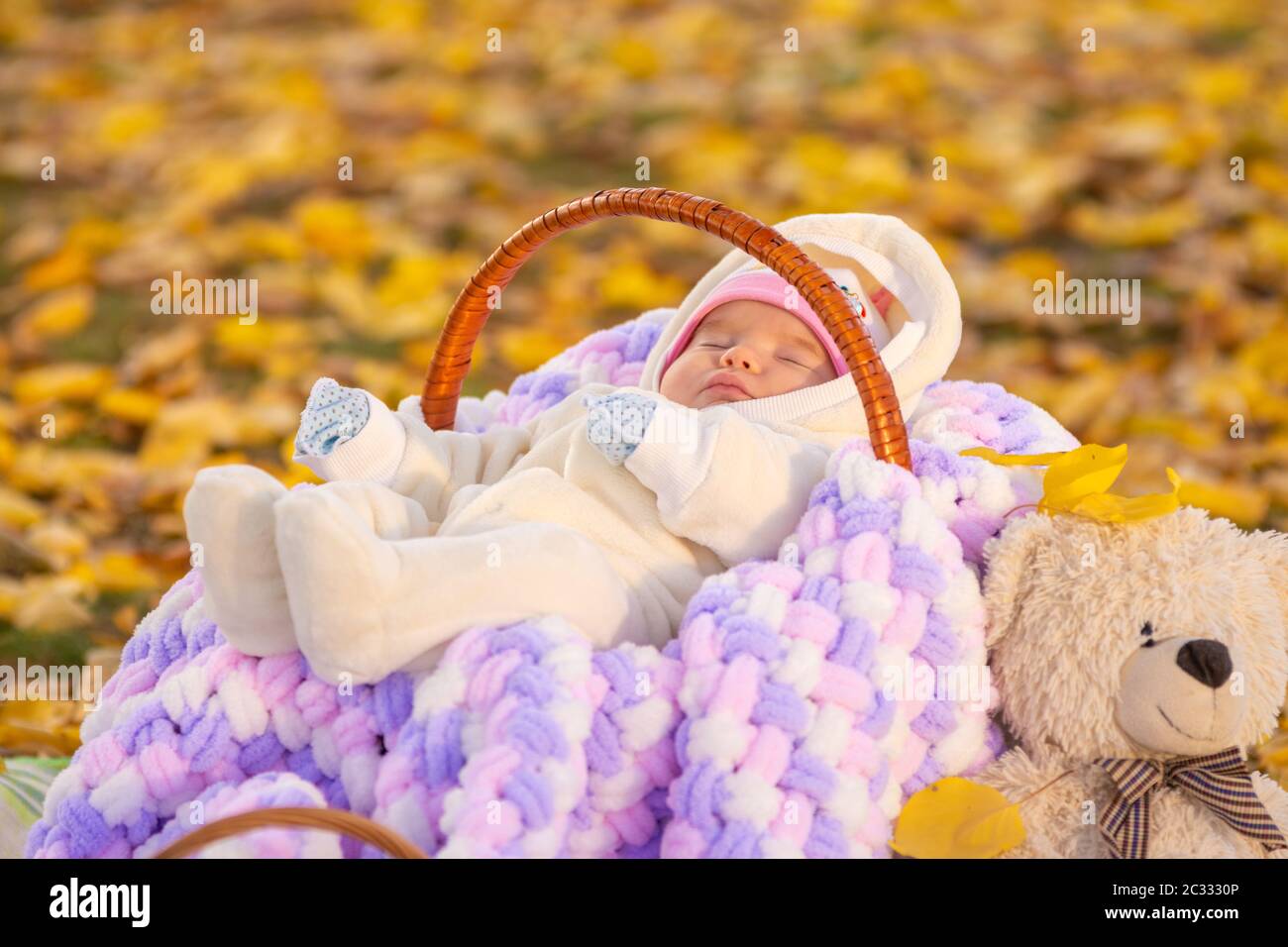 Il bambino dorme nel cestino nel parco di autunno, seduto vicino ad un orsacchiotto Foto Stock