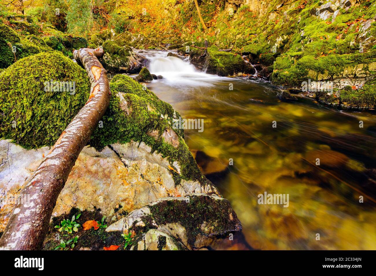 Cascate su un ruscello di montagna con rocce mussose nel parco forestale di Tollymore Foto Stock