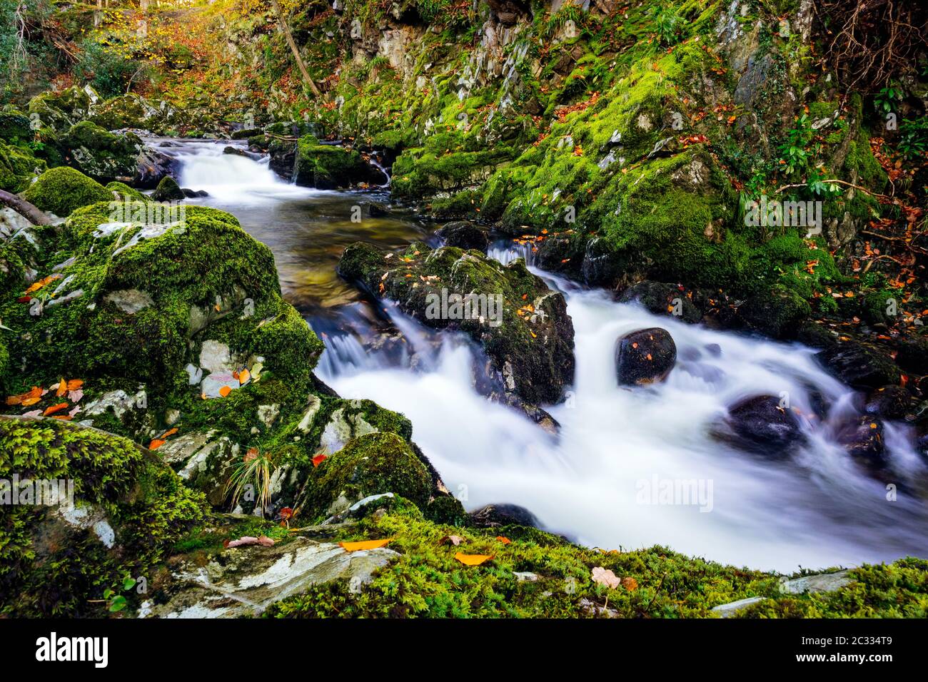 Cascate su un ruscello di montagna con rocce mussose nel parco forestale di Tollymore Foto Stock