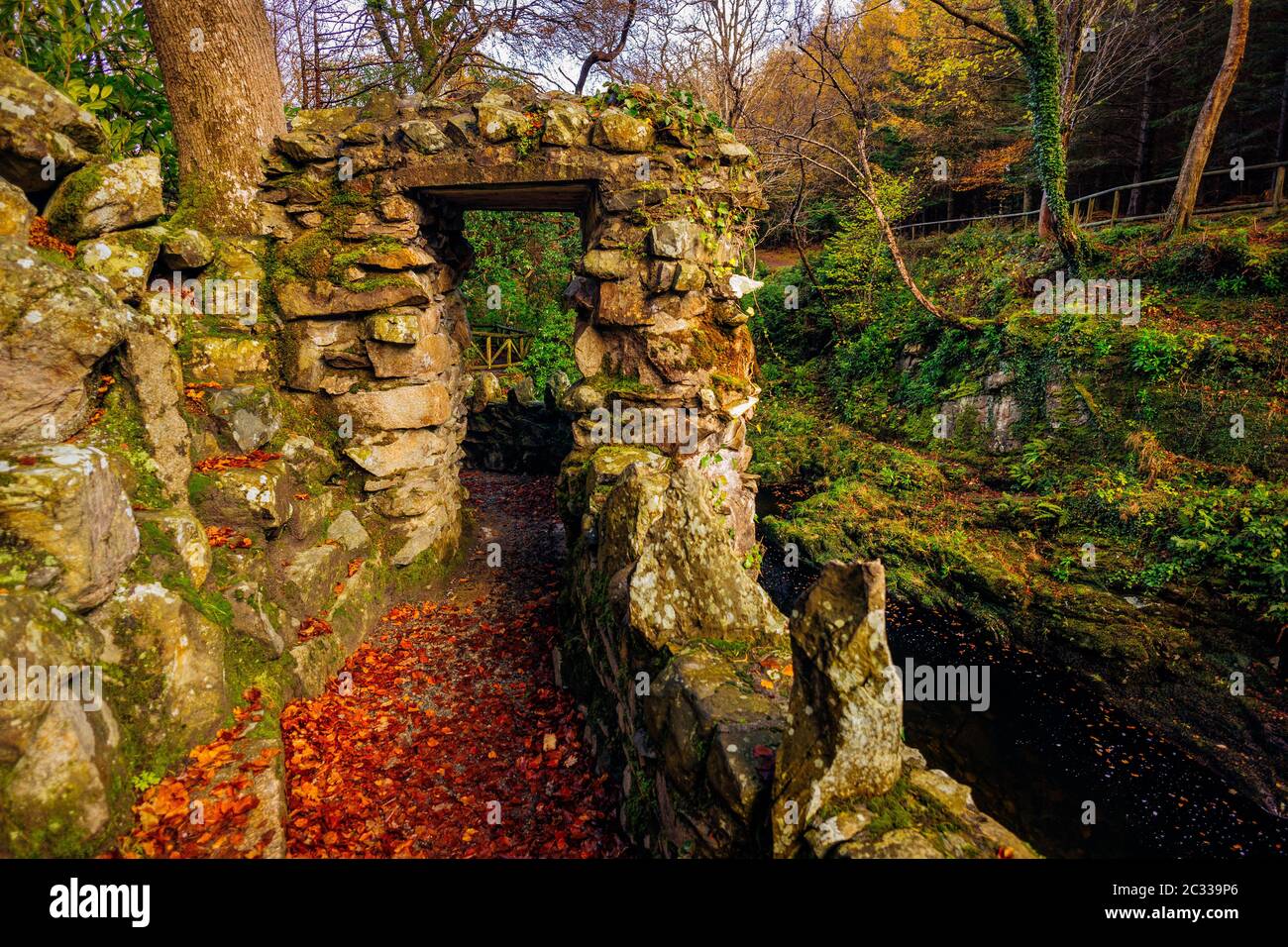Porta in pietra del vecchio sentiero con il fiume sottostante e rocce di muschio verde nel parco forestale di Tollymore Foto Stock