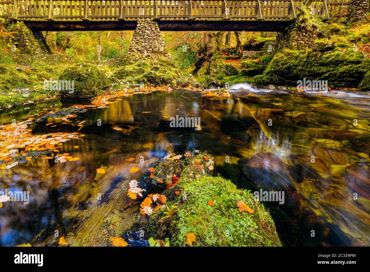 Cascate sotto il ponte di legno sul torrente di montagna, con rocce mussose nel parco forestale di Tollymore Foto Stock