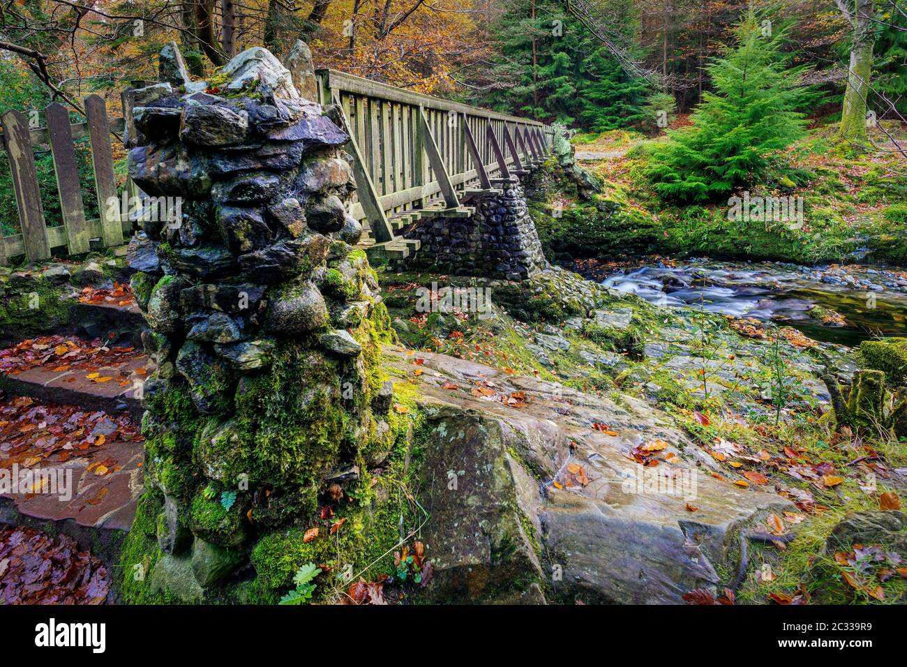 Colonne di pietra di vecchio ponte di legno con rocce mussose nel parco forestale di Tollymore Foto Stock