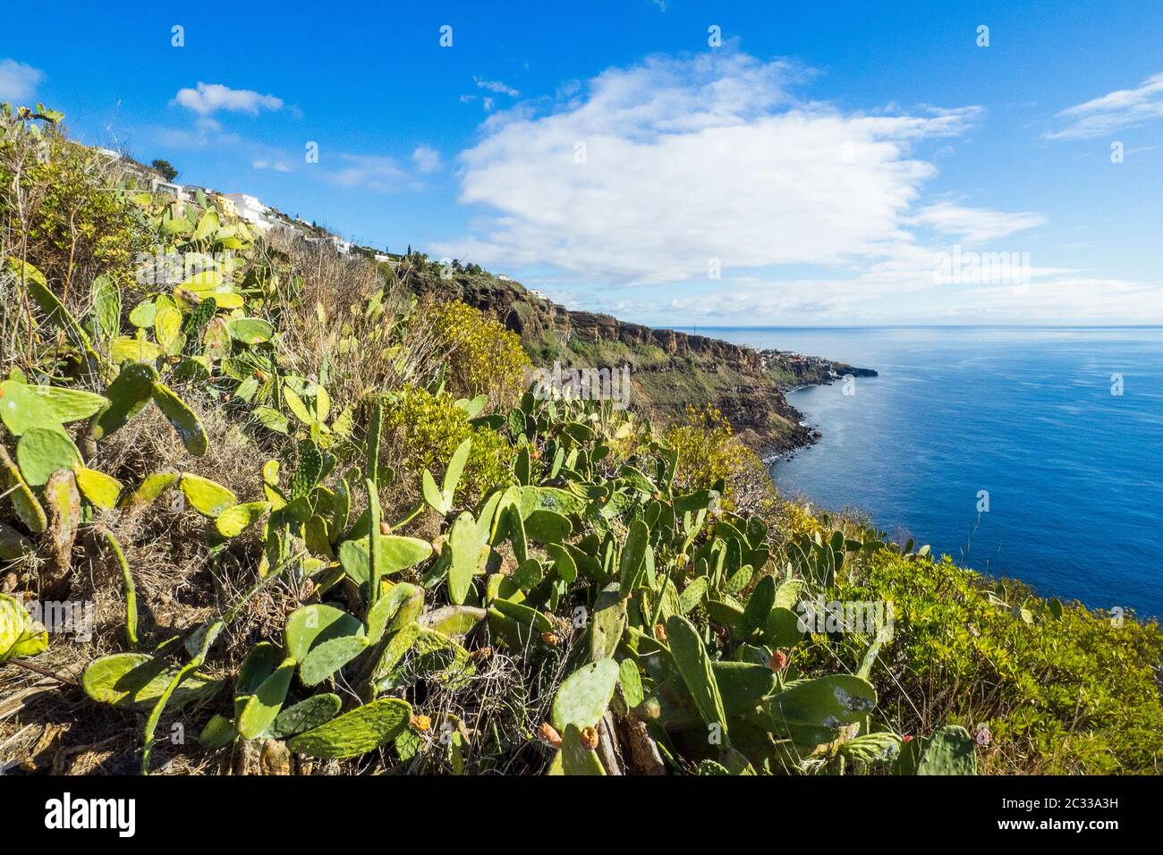 Portogallo, Isole Canarie su Madeira - Canico a Ponta do Garajau Foto Stock