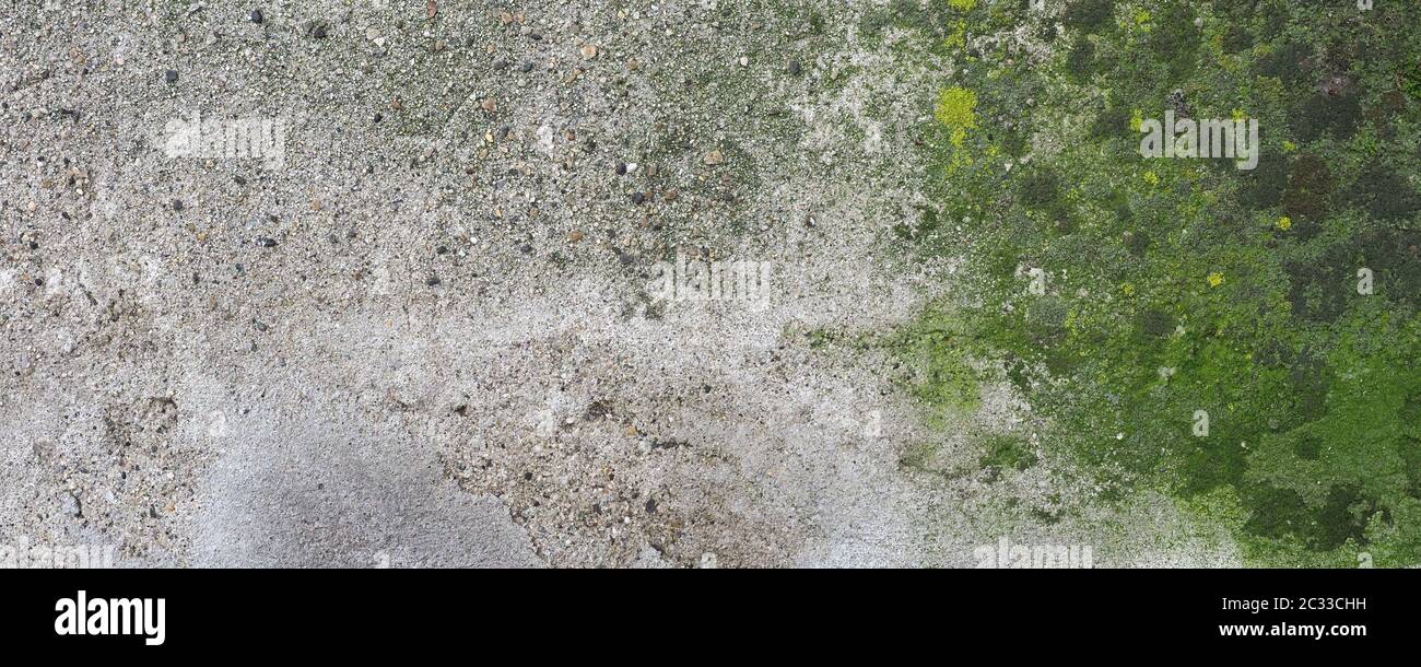 ampia parete in cemento con muschio verde, utile come sfondo Foto Stock