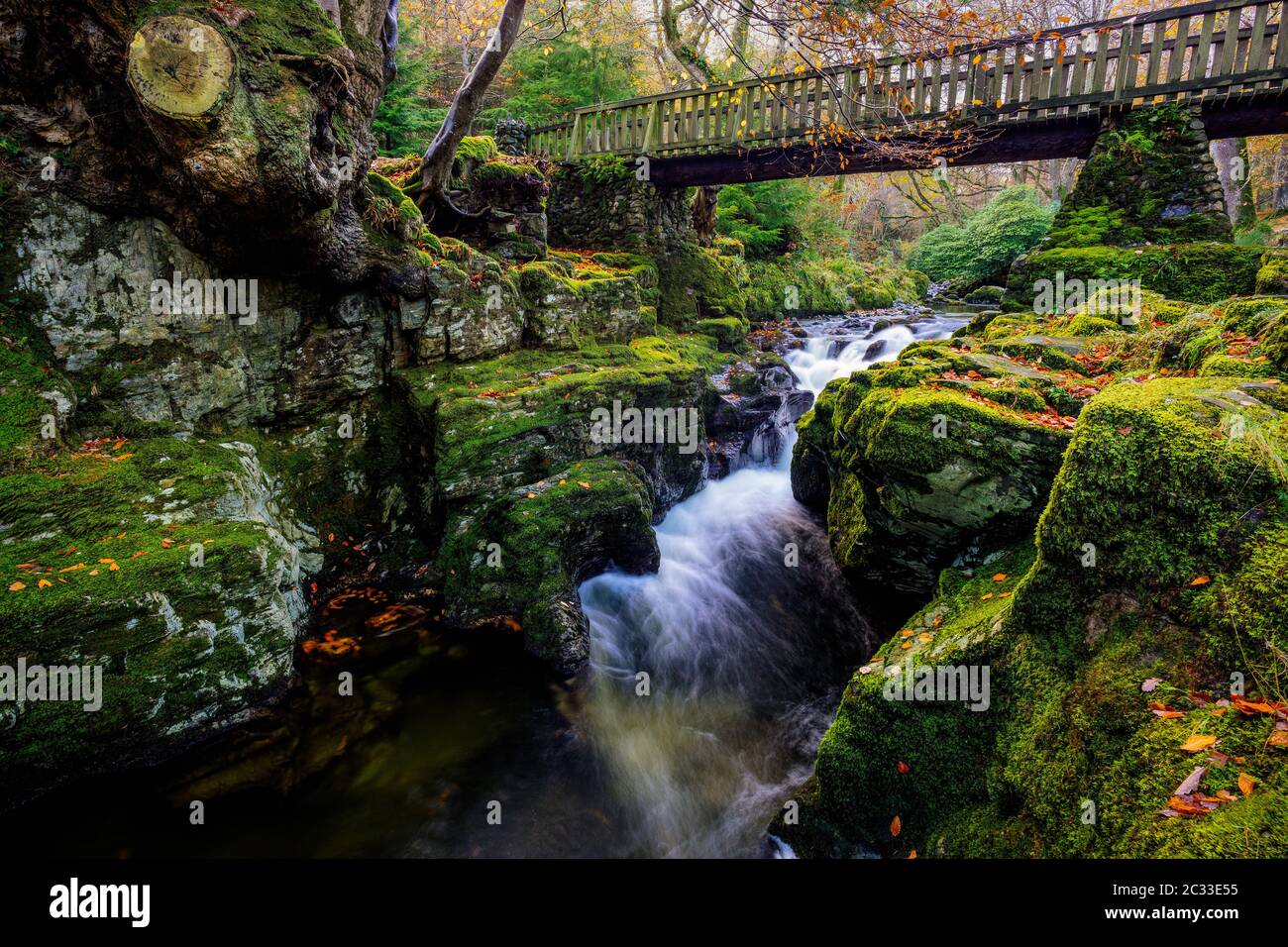 Cascate sotto il ponte di legno sul torrente di montagna, con rocce mussose nel parco forestale di Tollymore Foto Stock