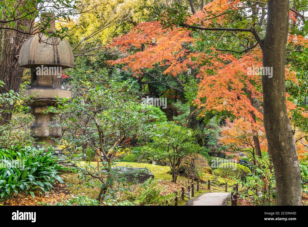 Tokyo Metropolitan Park KyuFurukawa il giardino giapponese Nuresagigata della lanterna di pietra che si affaccia dalla red maple momiji le foglie in autunno. Foto Stock