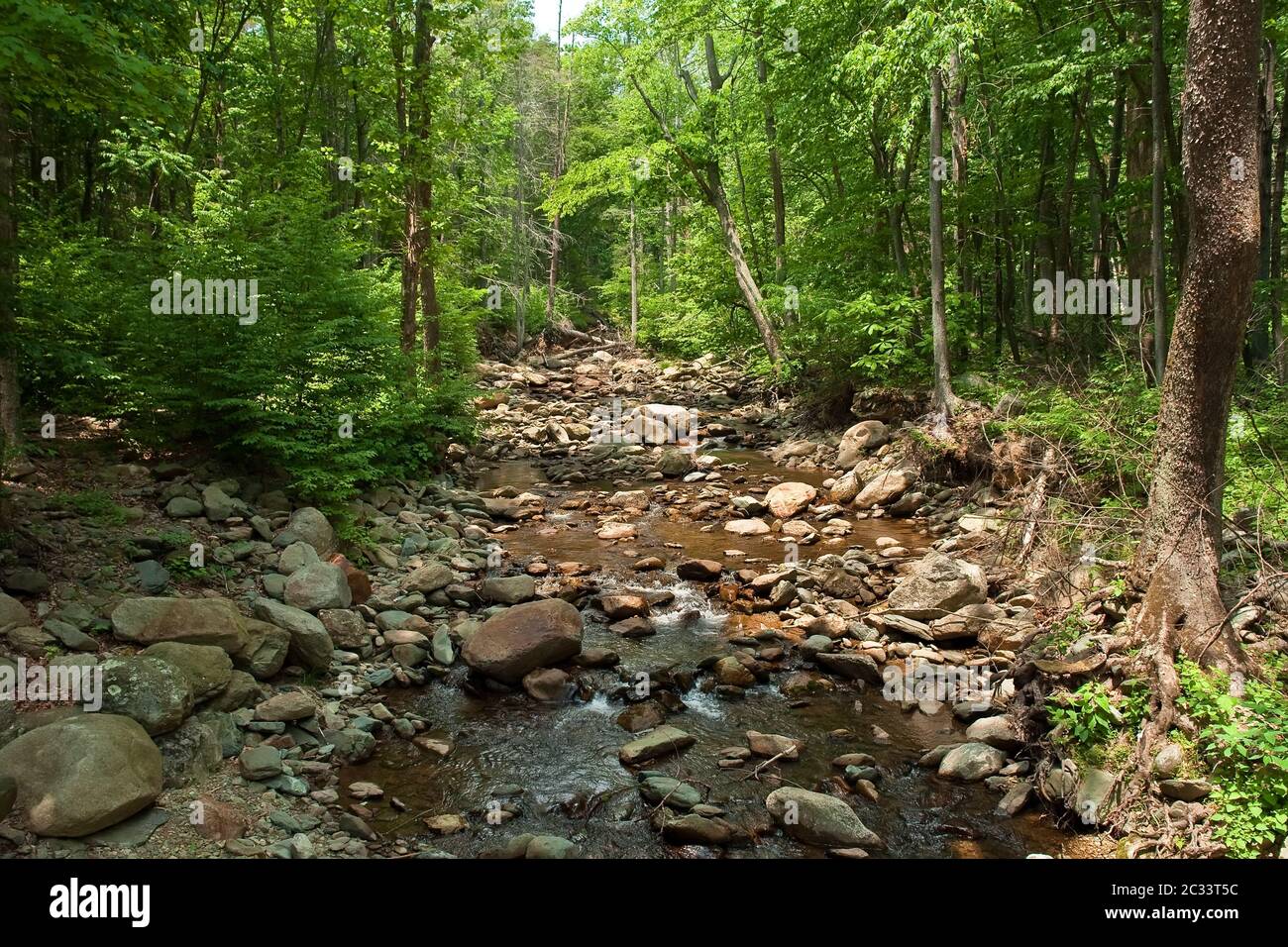 Fiume di legno nel parco nazionale di Shenandoah Foto Stock