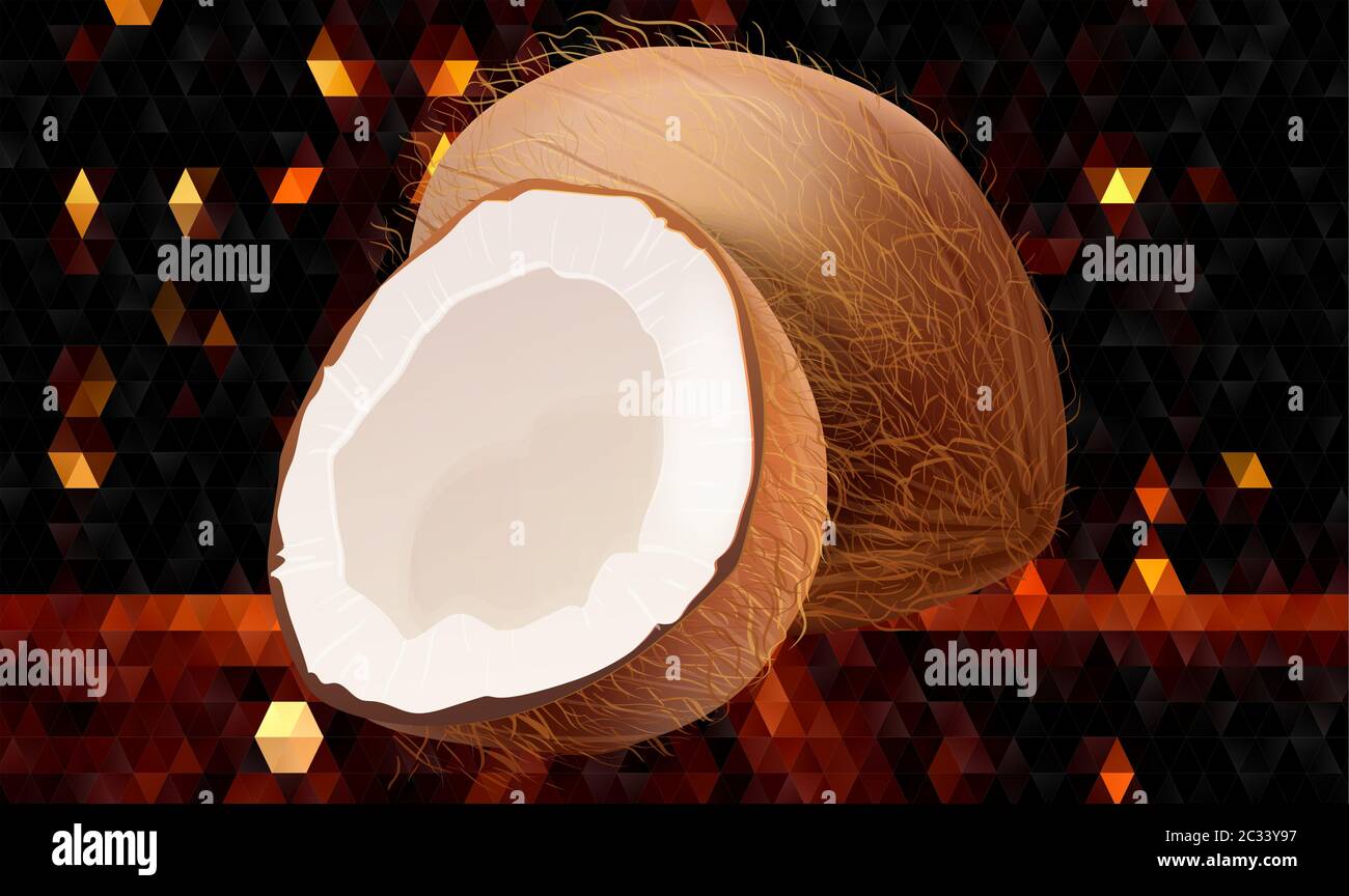 frutta di cocco realistica su sfondo astratto Illustrazione Vettoriale