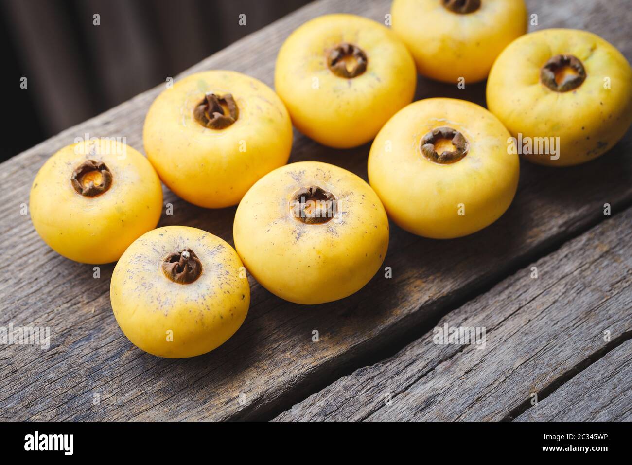 Frutta di mela d'oro-Diospyros decandra frutta Foto Stock