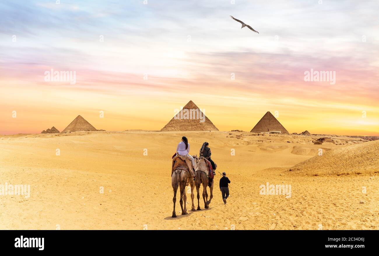 I beduini sui cammelli andando alle Piramidi di Giza in Egitto. Foto Stock