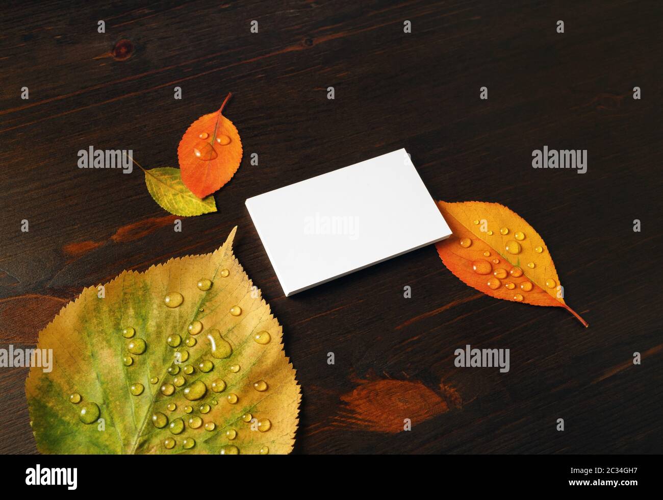 Foto di blank white paper business card e foglie di autunno su sfondo di legno. Mock-up per il branding ID. Foto Stock