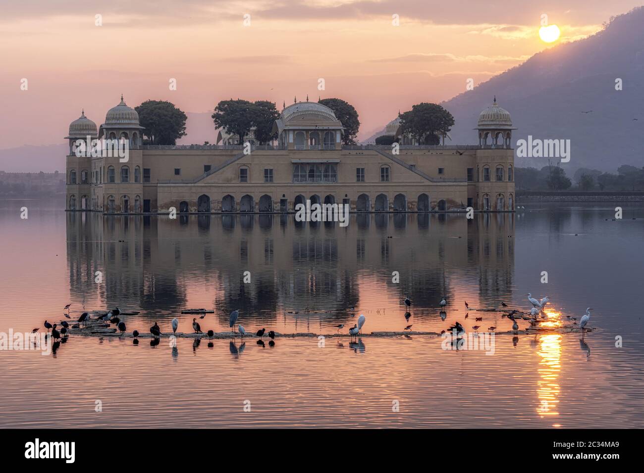 jal mahal water palace alba Foto Stock