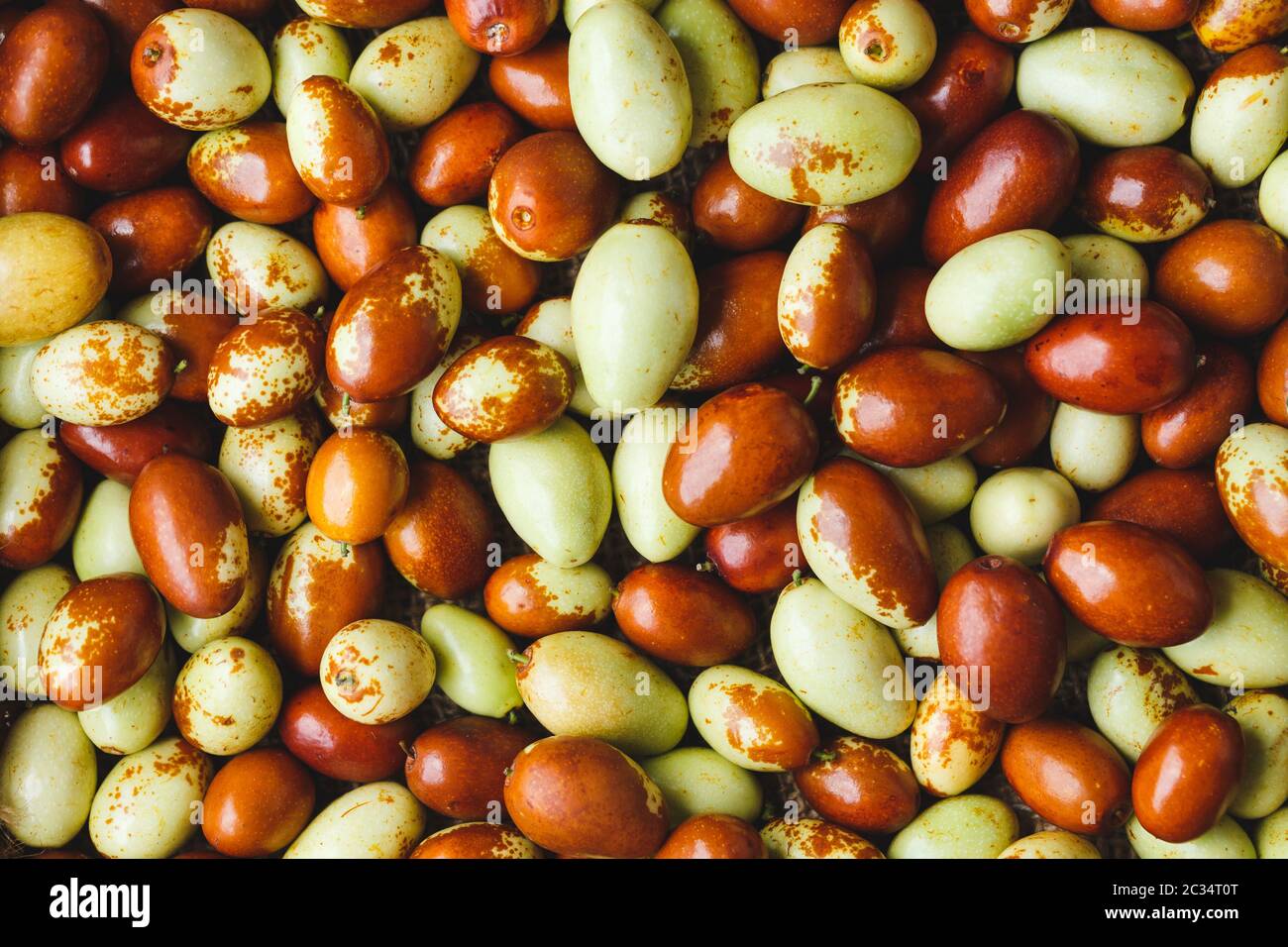 Frutta cinese data-frutta di jujuba di Ziziphus Foto Stock