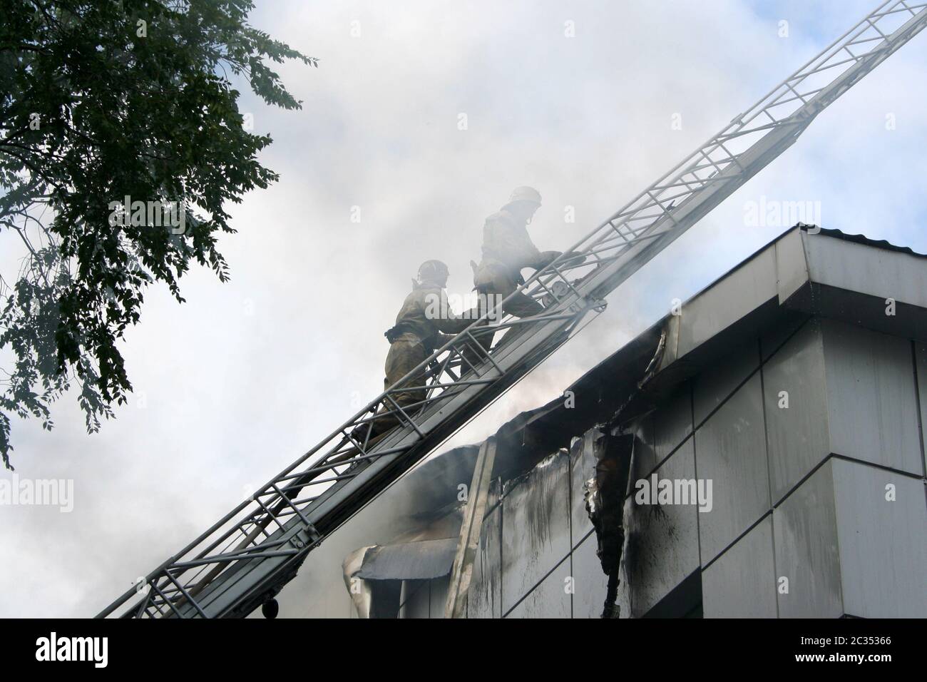 vigile del fuoco Foto Stock