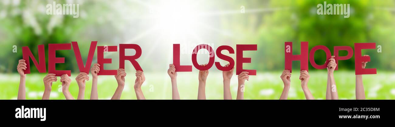 People Hands Holding Parola Inglese Colorata Non Perdere Mai La Speranza Prato Verde Soleggiato Erba Come Sfondo Foto Stock Alamy