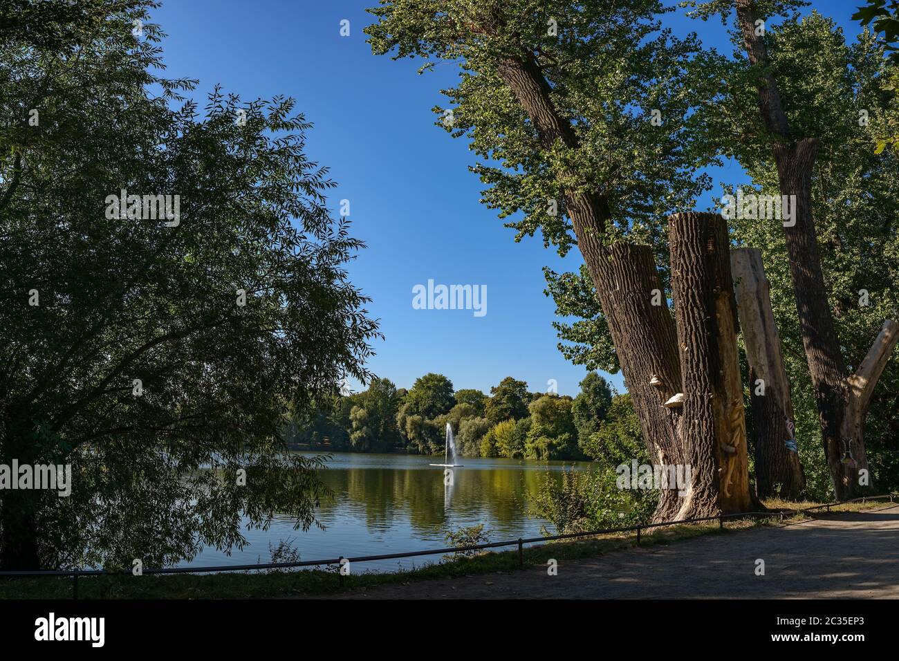 Idillio estivo al lago bianco di Berlino Foto Stock