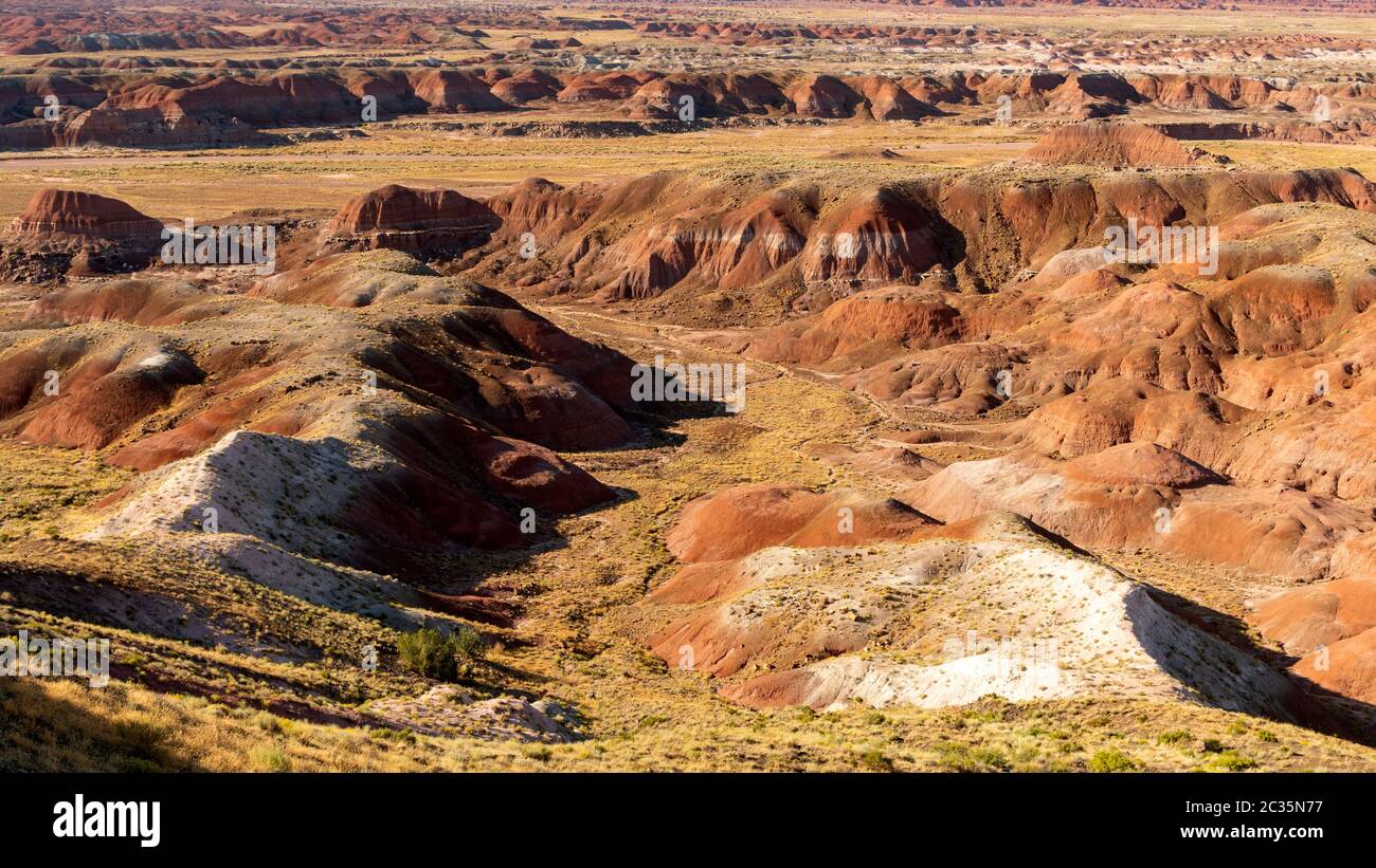 Più colori e strati di rocce e minerali compongono questa meraviglia geologica in Arizona Foto Stock