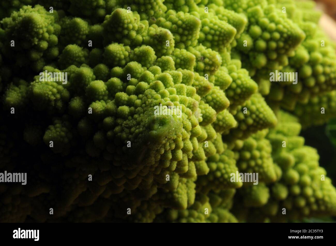 Primo piano di un fresco romanesco broccoli Foto Stock