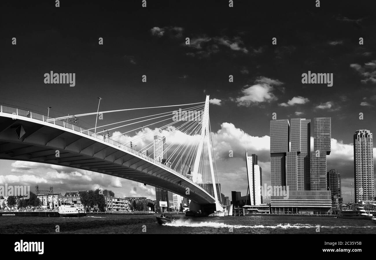 Ponte Erasmus di Rotterdam, Foto Stock