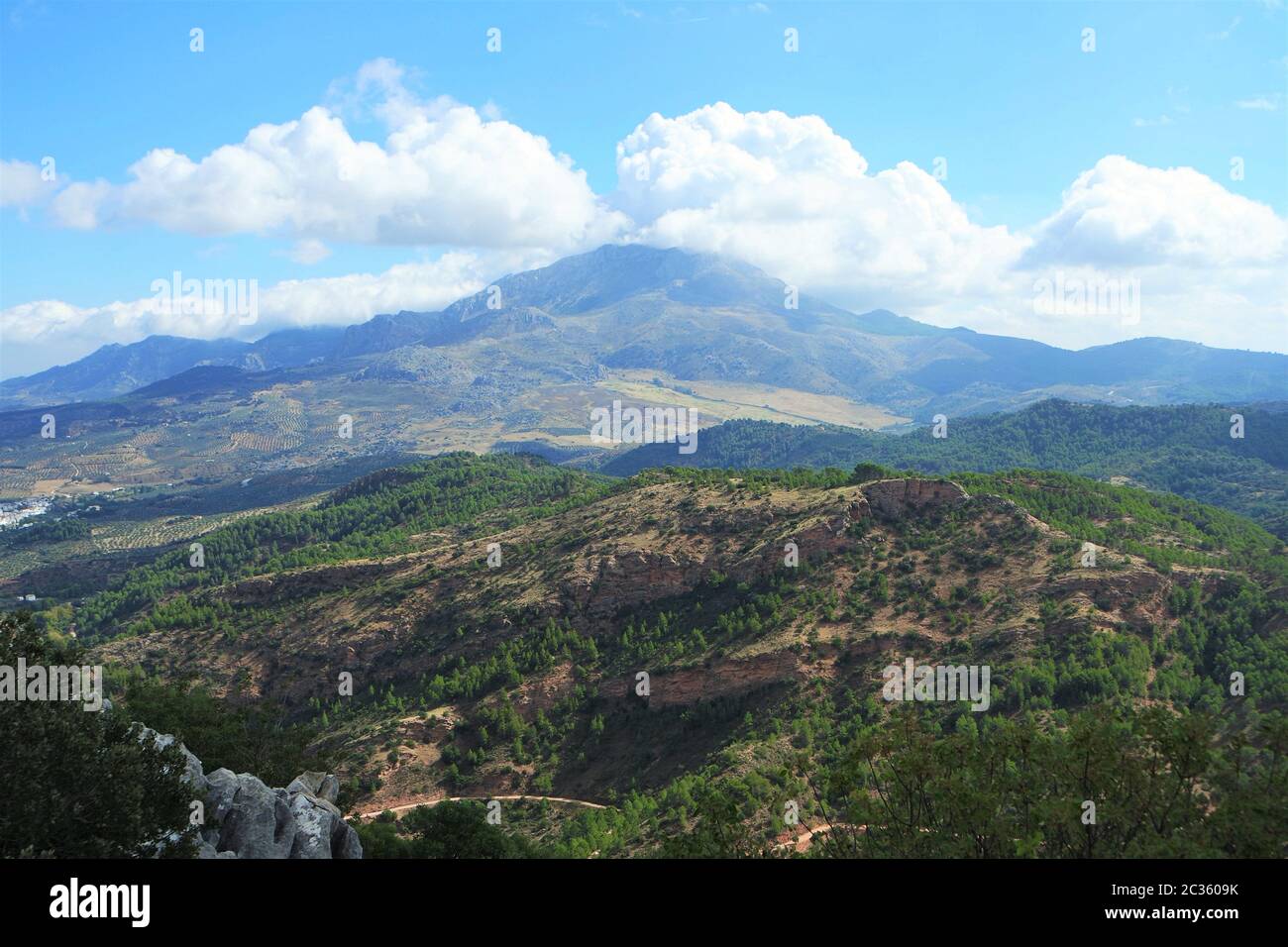 Parco Naturale della Sierra de las Nieves, Andalusia Foto Stock