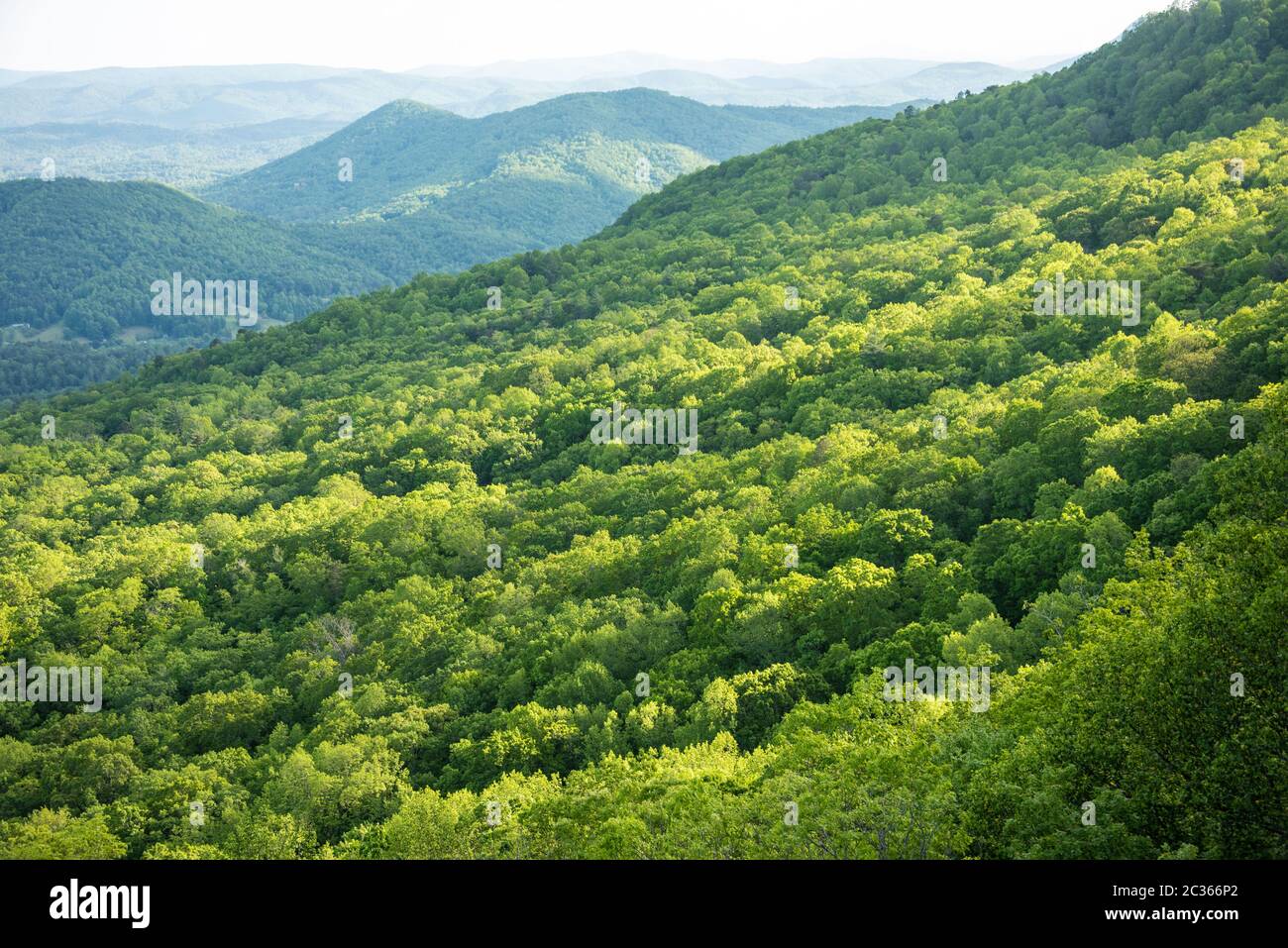 Vista delle Blue Ridge Mountains dal Black Rock Mountain state Park a Mountain City, Georgia. (STATI UNITI) Foto Stock