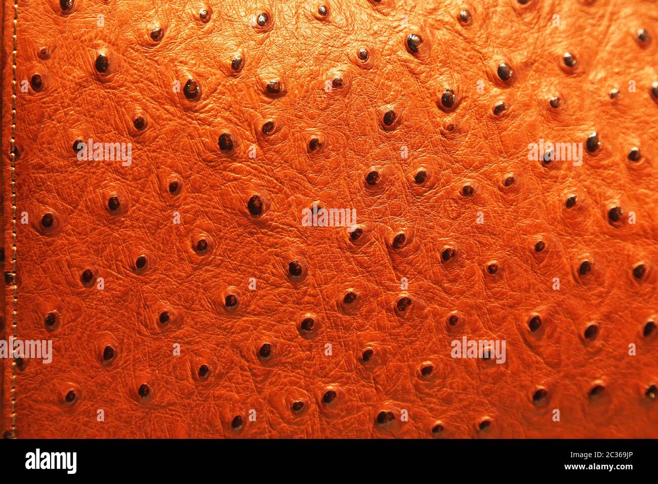 Vera pelle di struzzo Pattern Texture di sfondo Foto stock - Alamy