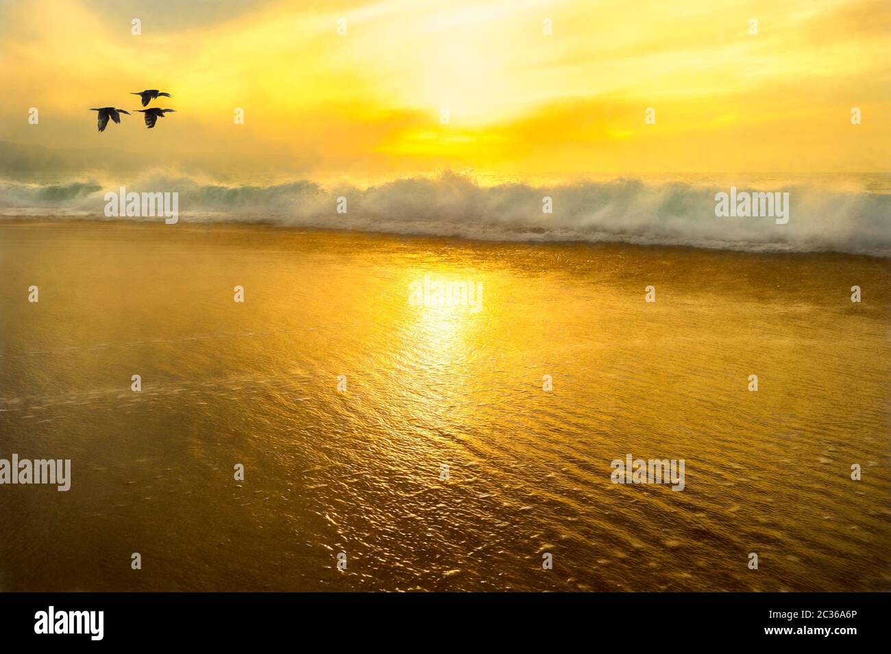 Un gregge di uccelli che volano su un'onda mentre il sole si stabilisce sull'oceano Foto Stock