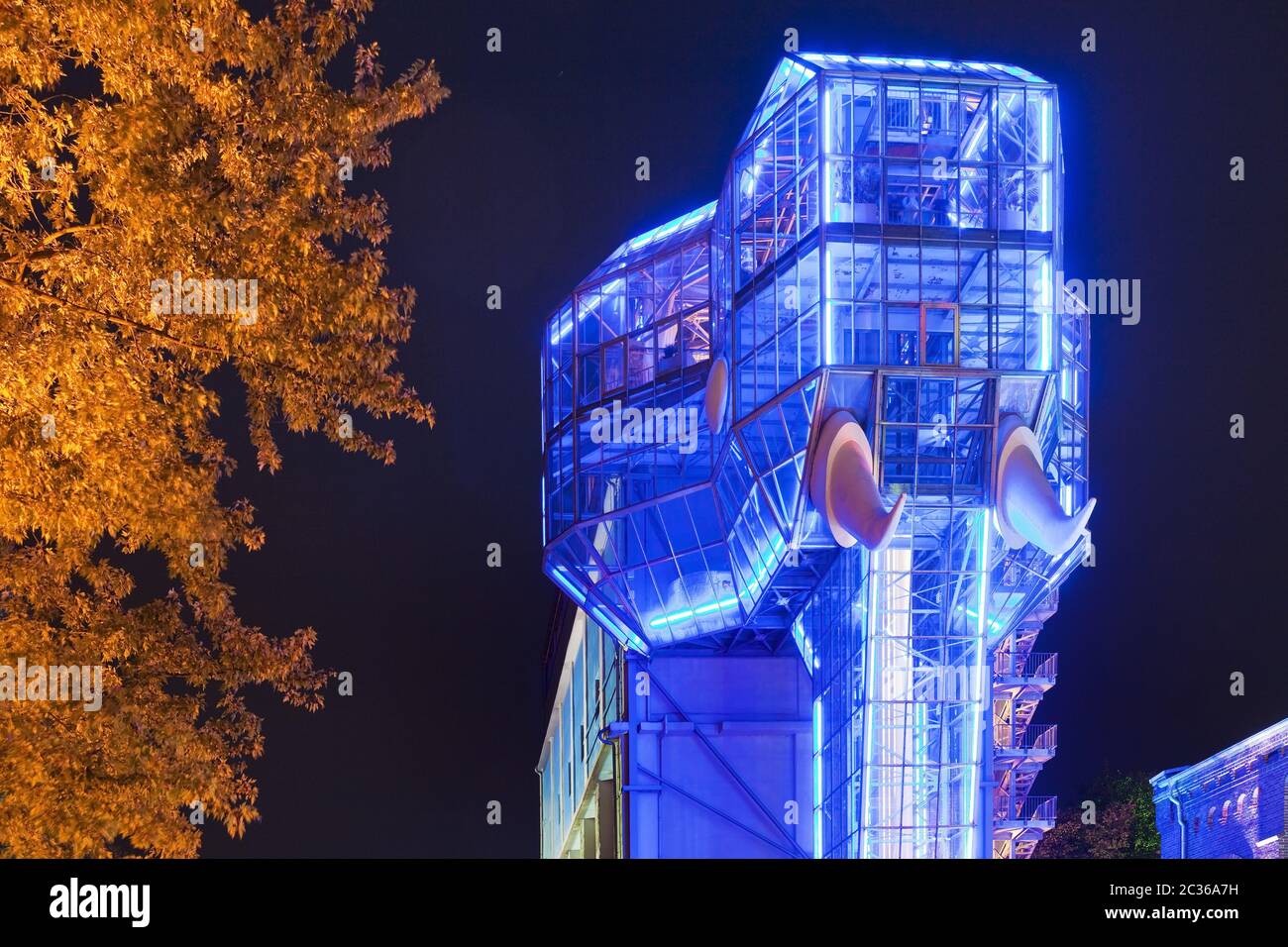 Luci autunnali con elefante di vetro illuminato nel Maximilianpark, Hamm, Germania, Europa Foto Stock