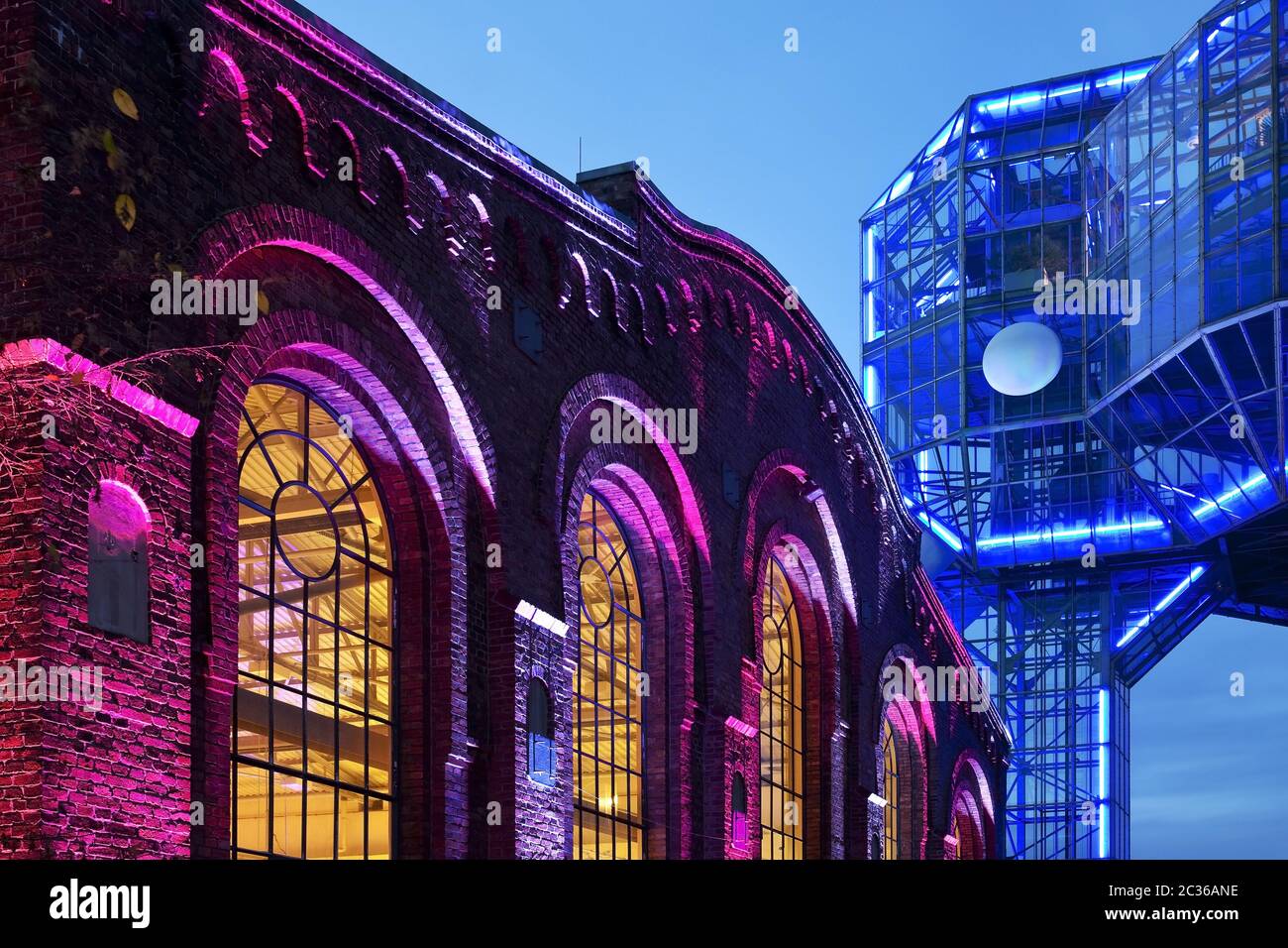 Luci autunnali con elefante di vetro illuminato nel Maximilianpark, Hamm, Germania, Europa Foto Stock