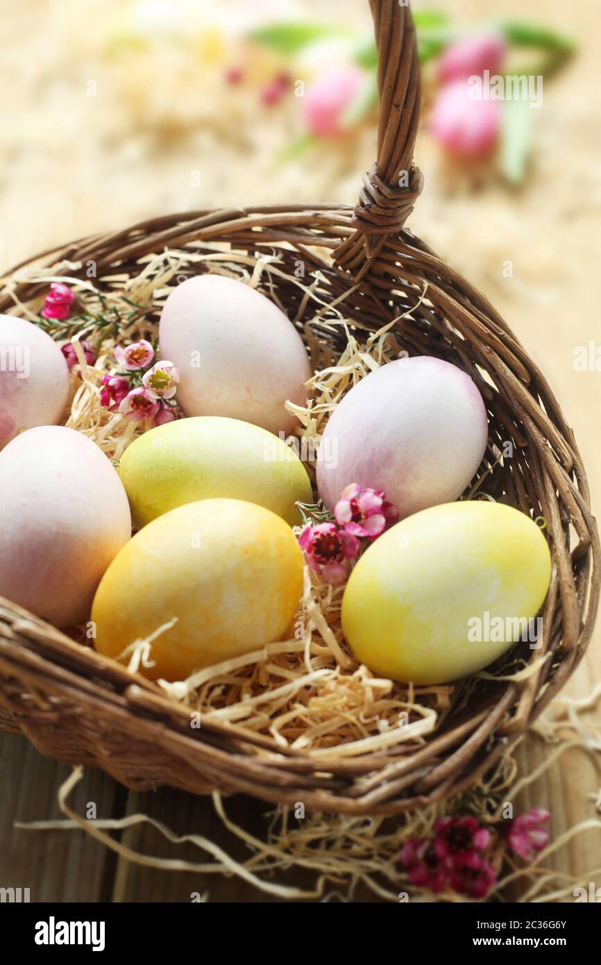 Uova di Pasqua in un cesto di vimini Foto Stock