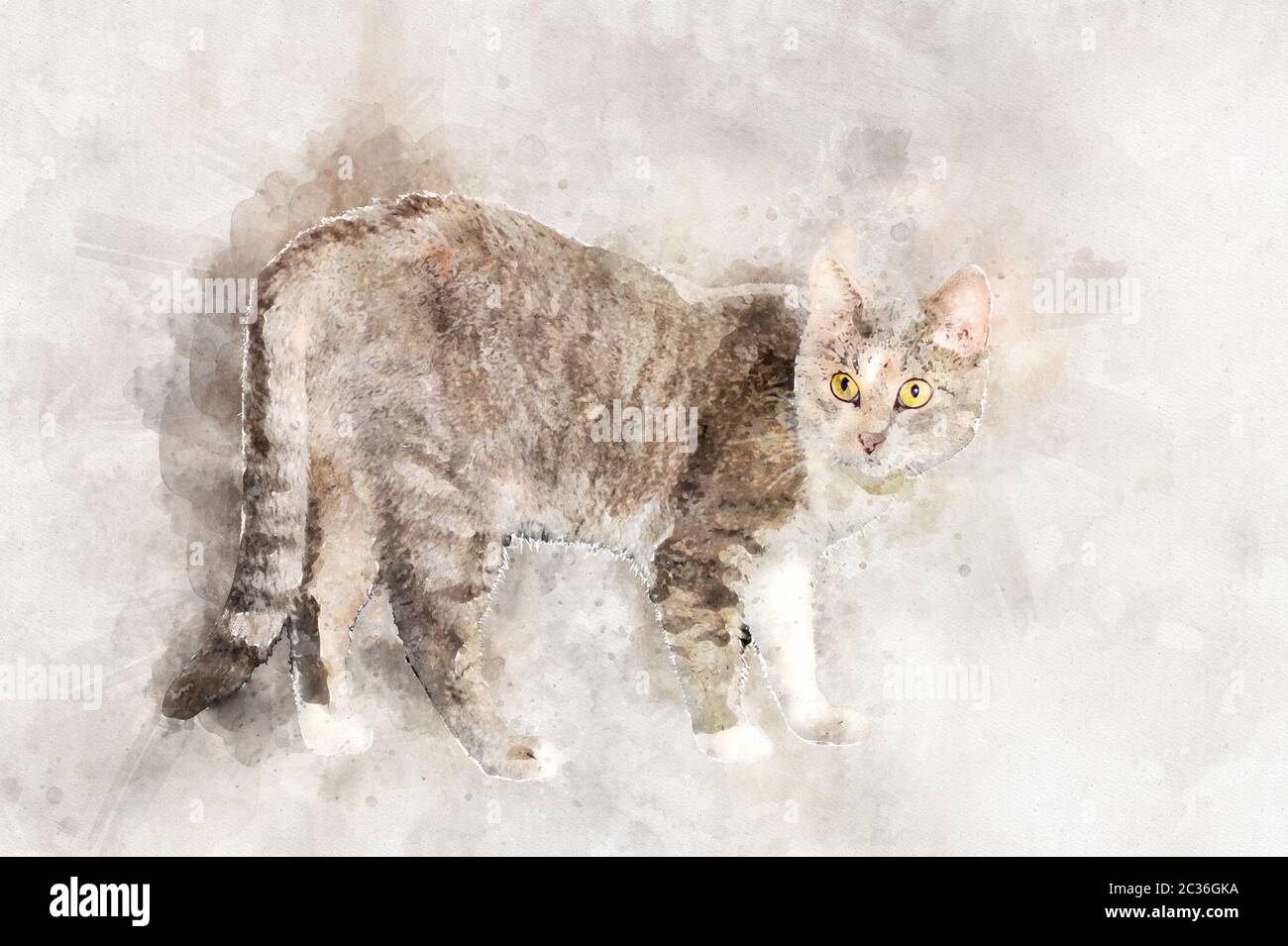 Un gatto grigio aggraziato con gli occhi gialli si alza e guarda la macchina fotografica. Stilizzazione in disegno acquerello. Foto Stock