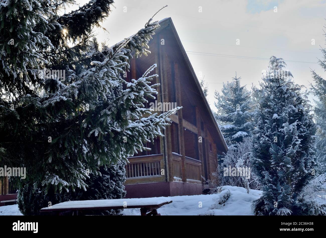 Inverno Cottage di legno in pineta coperto di neve durante l'inverno in Transilvania. Foto Stock