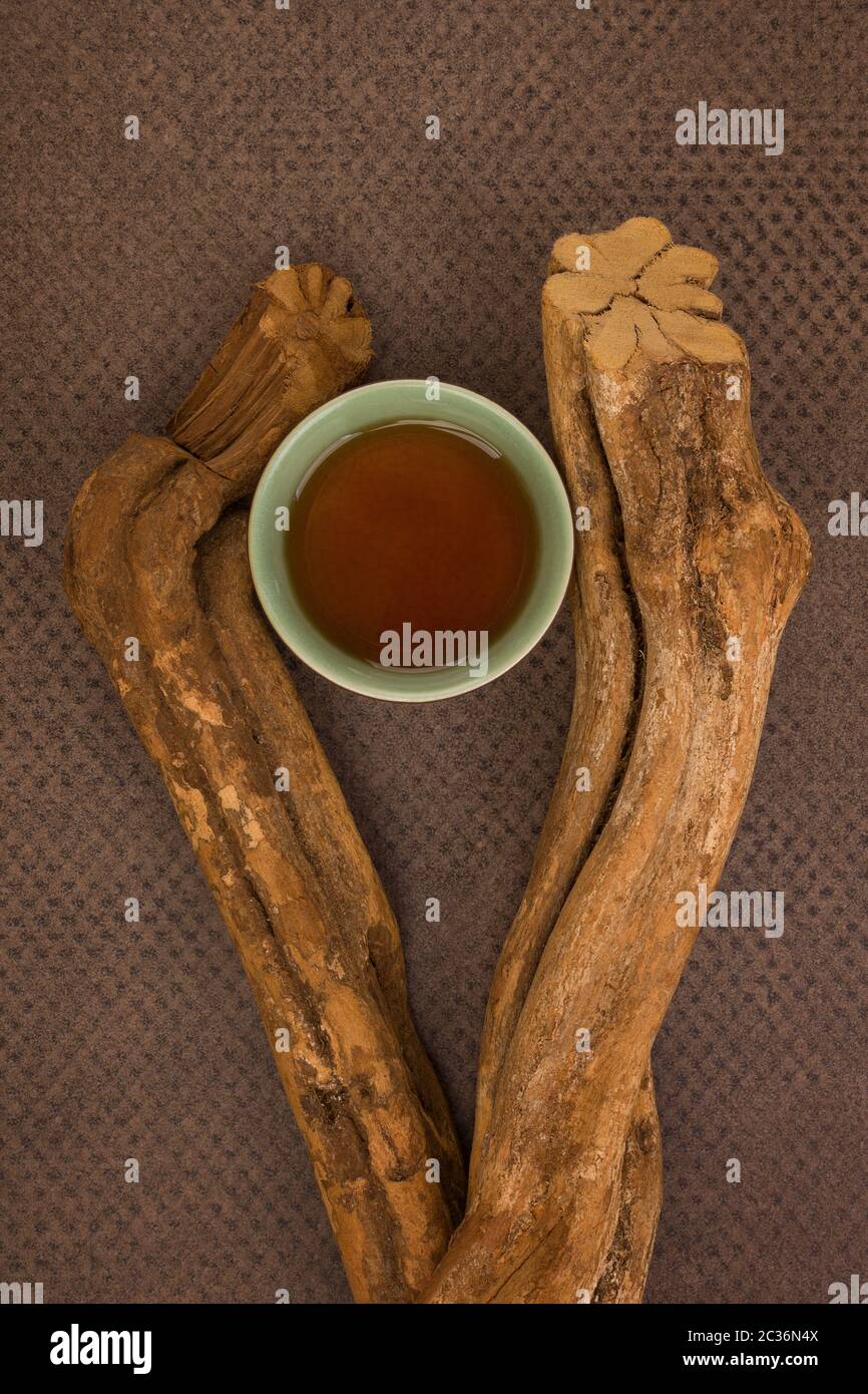 Ayahuasca brew e Banisteriopsis caapi legno. Bevanda psichedelica, Entheogen. Foto Stock