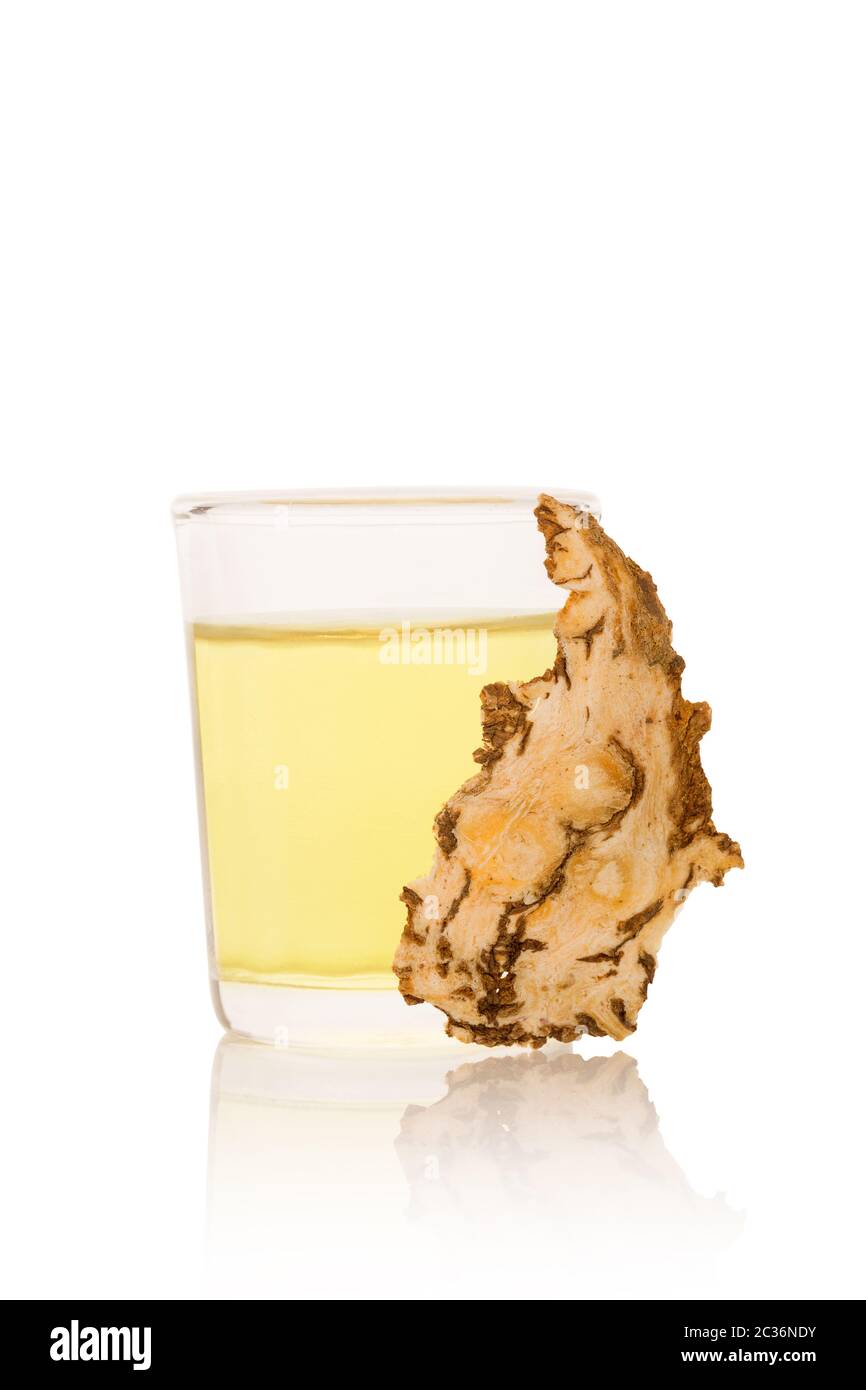 Radici di Angelica slice e tintura isolati su sfondo bianco. Pianta medicinale, medicina tradizionale cinese. Foto Stock