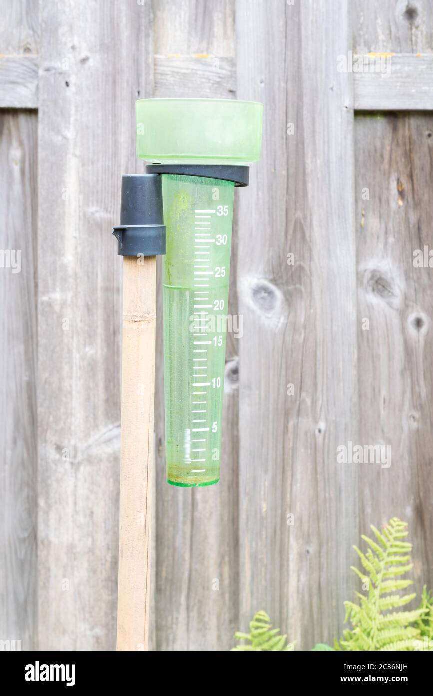Indicatore di pioggia per la misurazione delle precipitazioni. La scala (in millimetri o litri per metro quadrato) è indicata sull'imbuto. Foto Stock