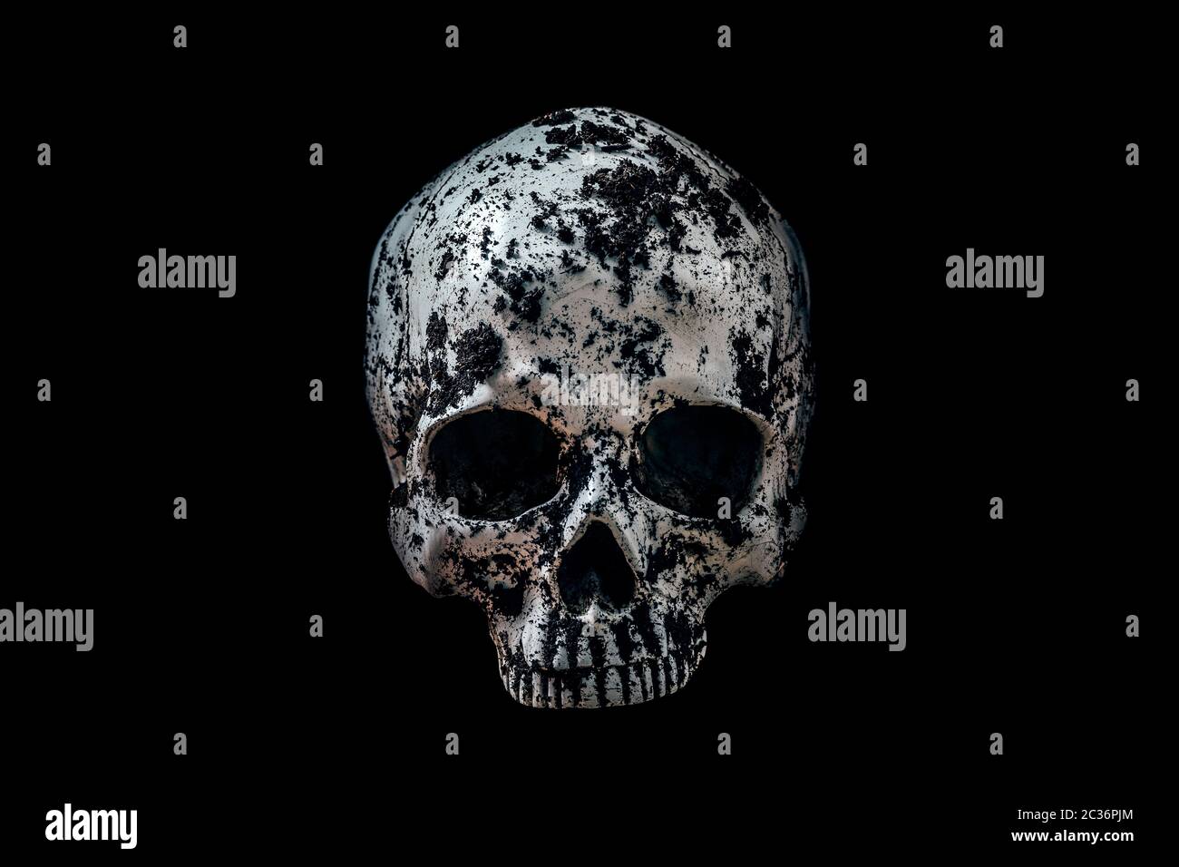 Cranio umano in nero terreno isolato su sfondo nero con tracciato di ritaglio Foto Stock