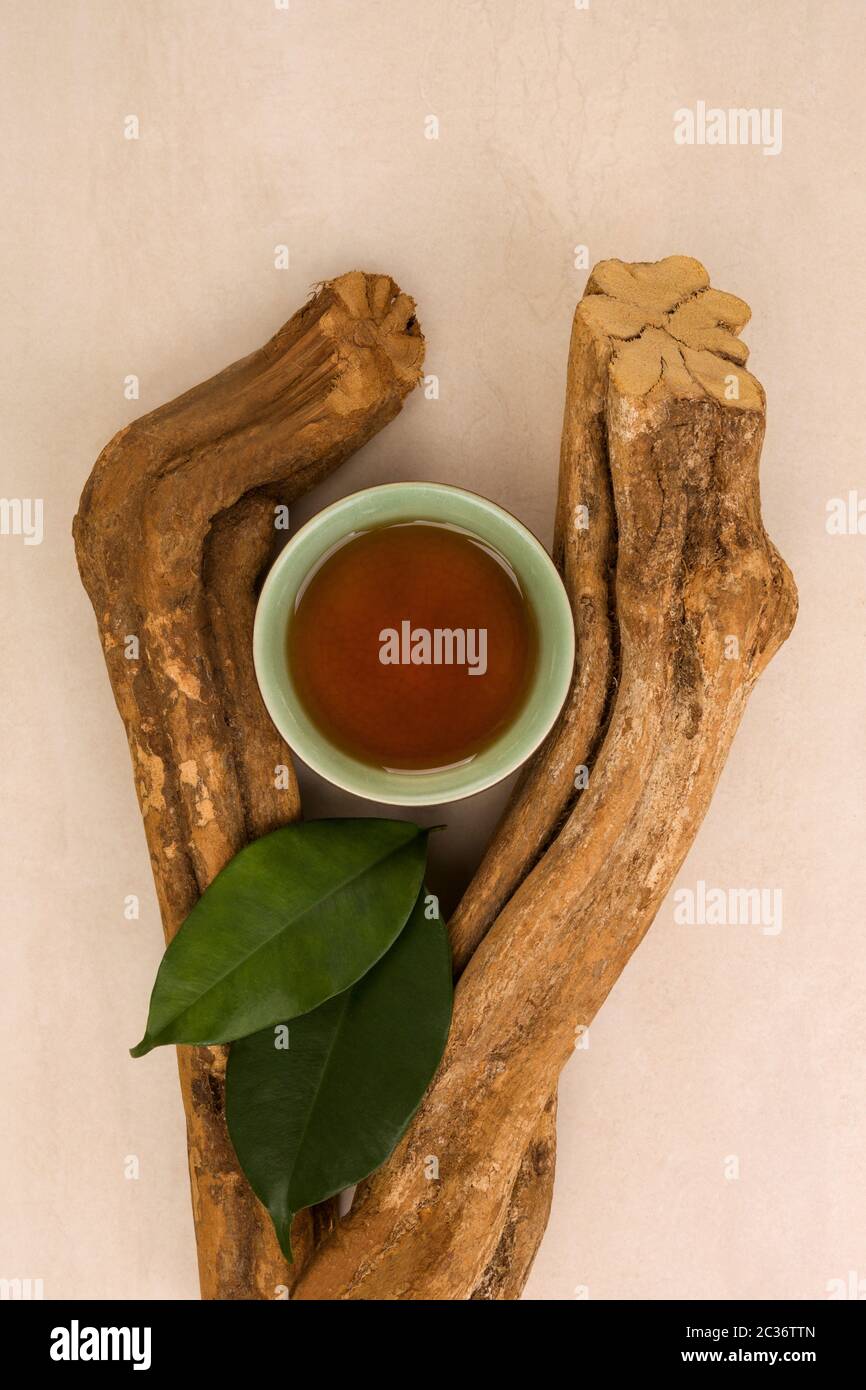 La medicina tradizionale Ayahuasca. Banisteriopsis caapi pezzi di legno. Medico psychedelics naturale, Enteogens. Foto Stock