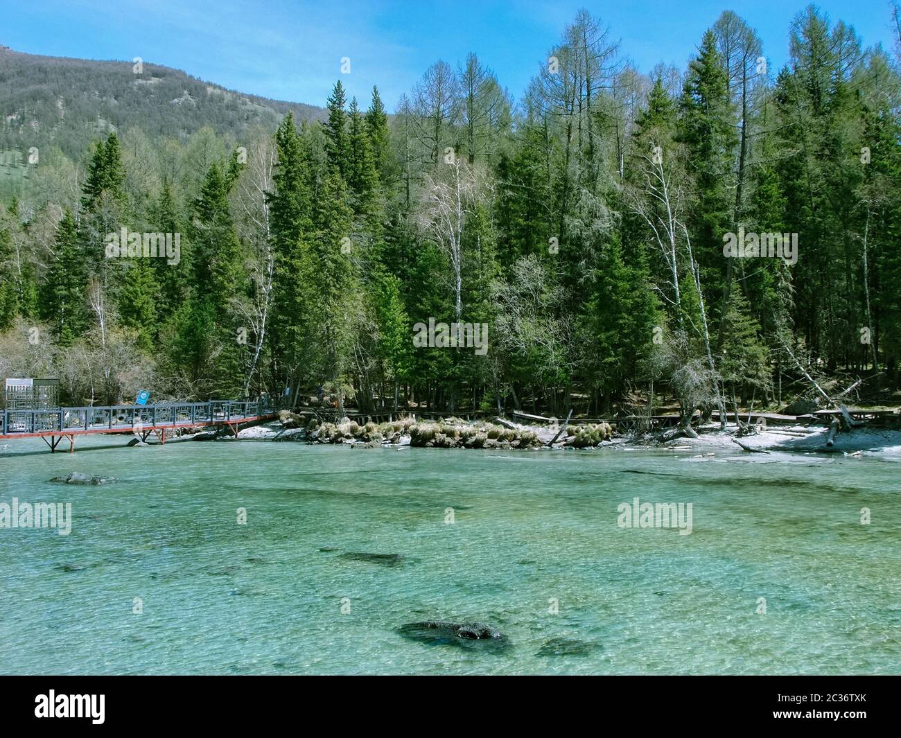 Riserva naturale del lago Kanas, parco forestale di Jiadengyu, Xinjiang Foto Stock