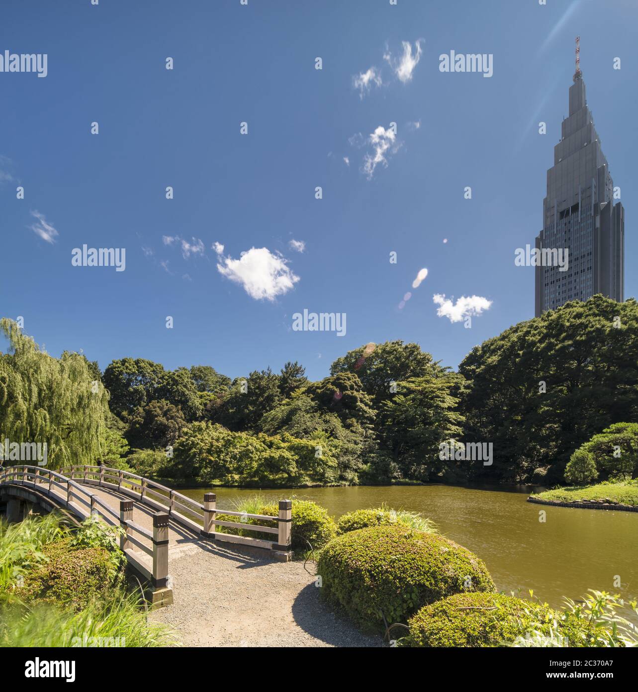 La torre Docomo di Shinjuku si affaccia sul ponte in legno di Upper Pond e sulle foreste di pini e aceri di t. Foto Stock