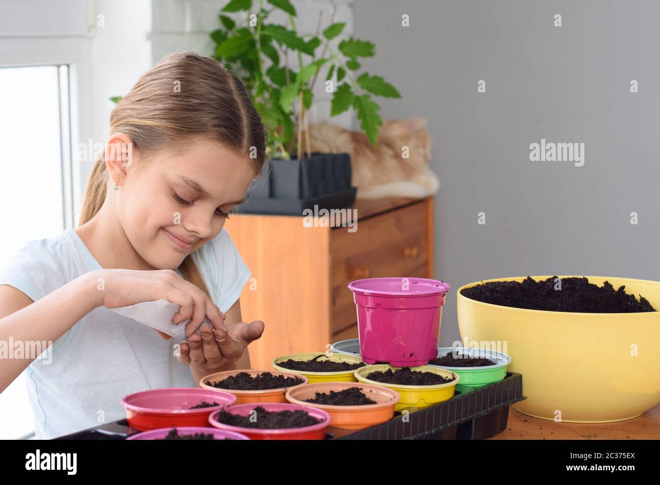 La ragazza versa i semi da un sacchetto in mano per piantare ulteriormente Foto Stock