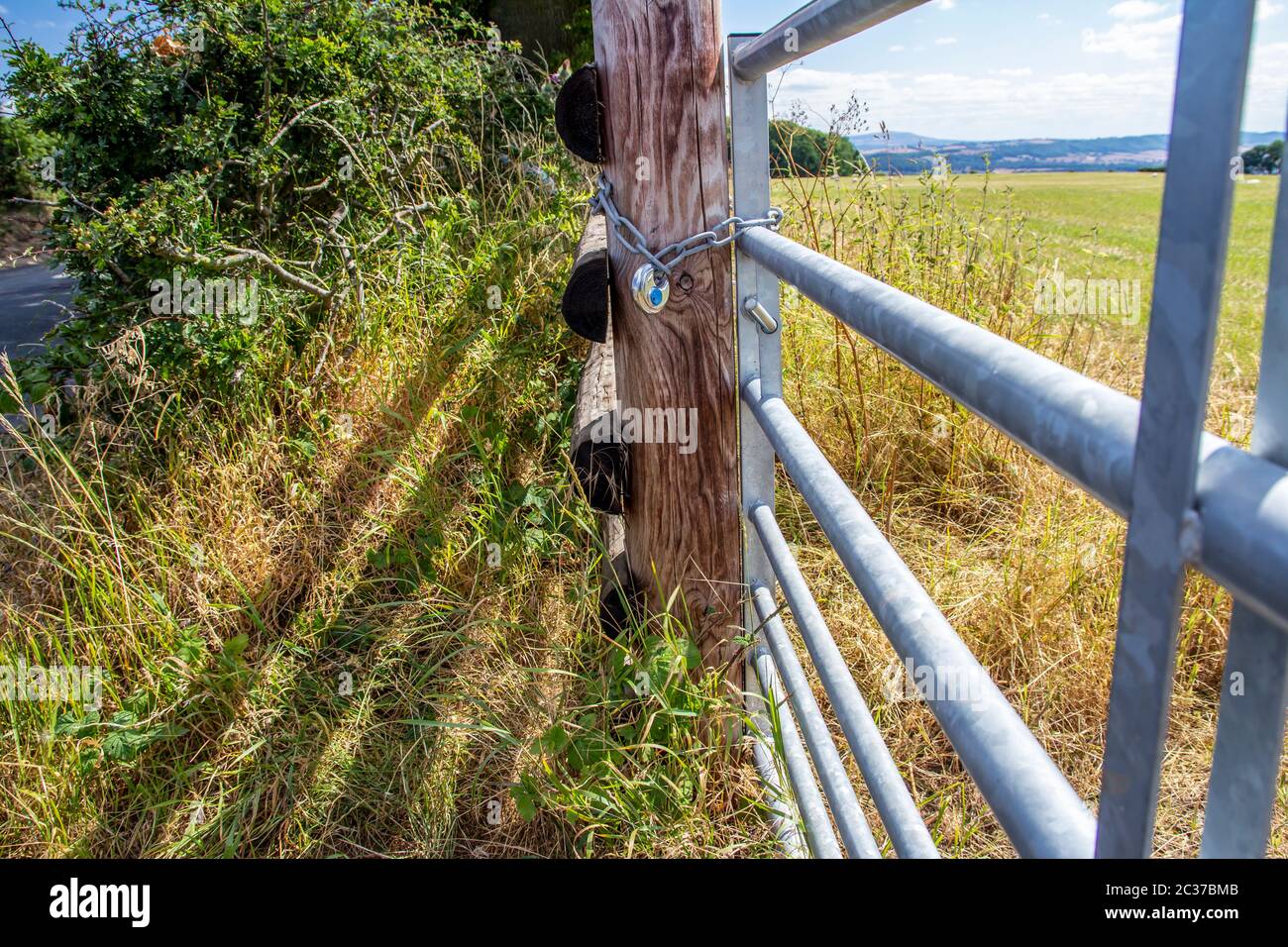 Una porta metallica e recinzione in legno al confine di terreni agricoli nello Shropshire rurale Foto Stock